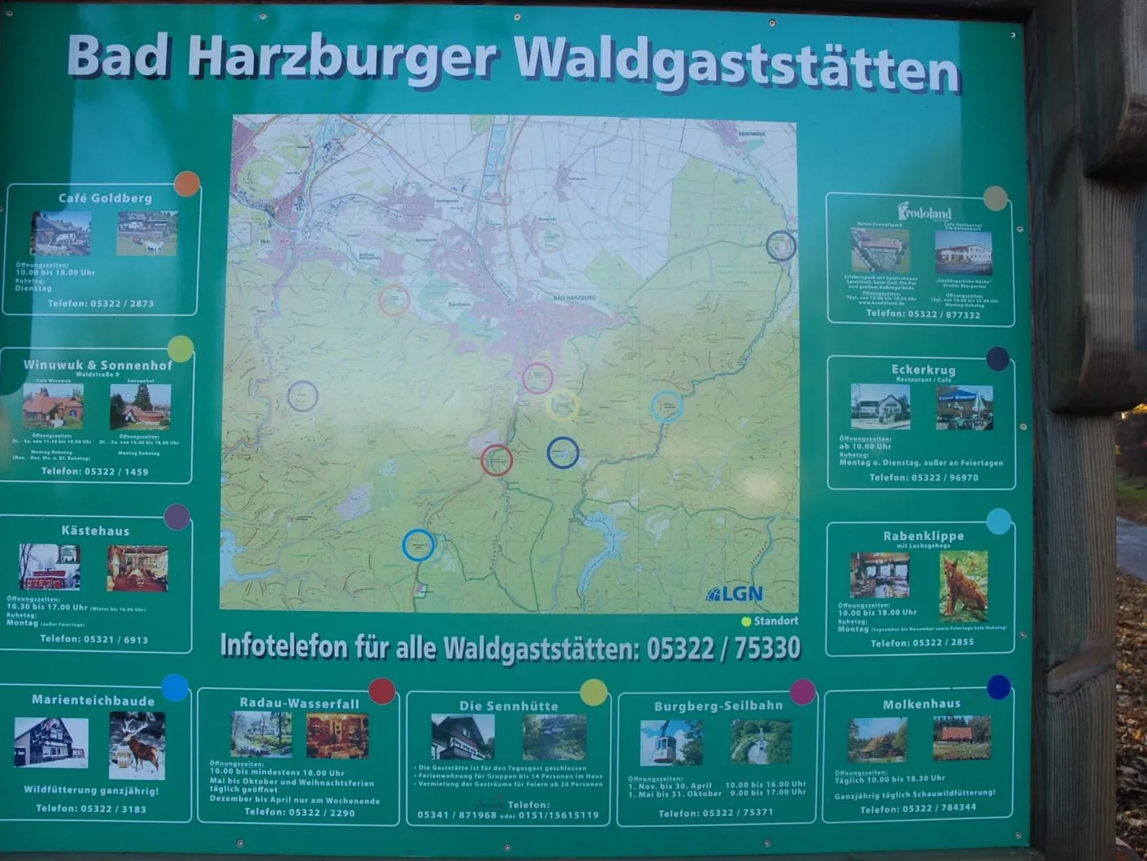 Fewo Harzblick-Buiten