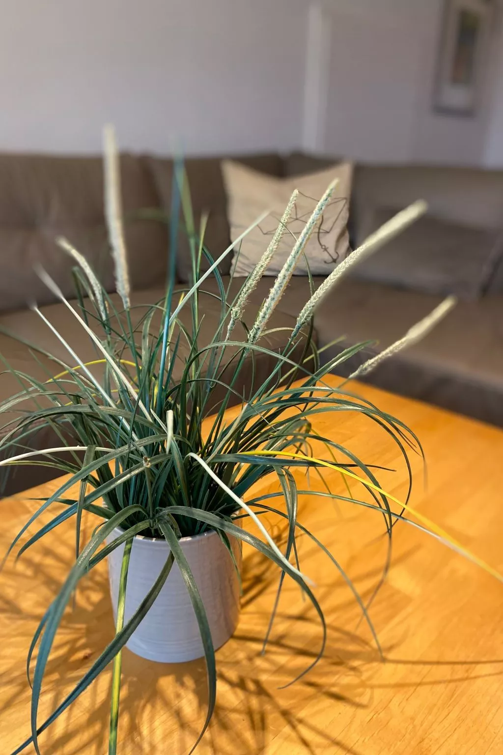 Zeesenhaus 6-Image-tags.info