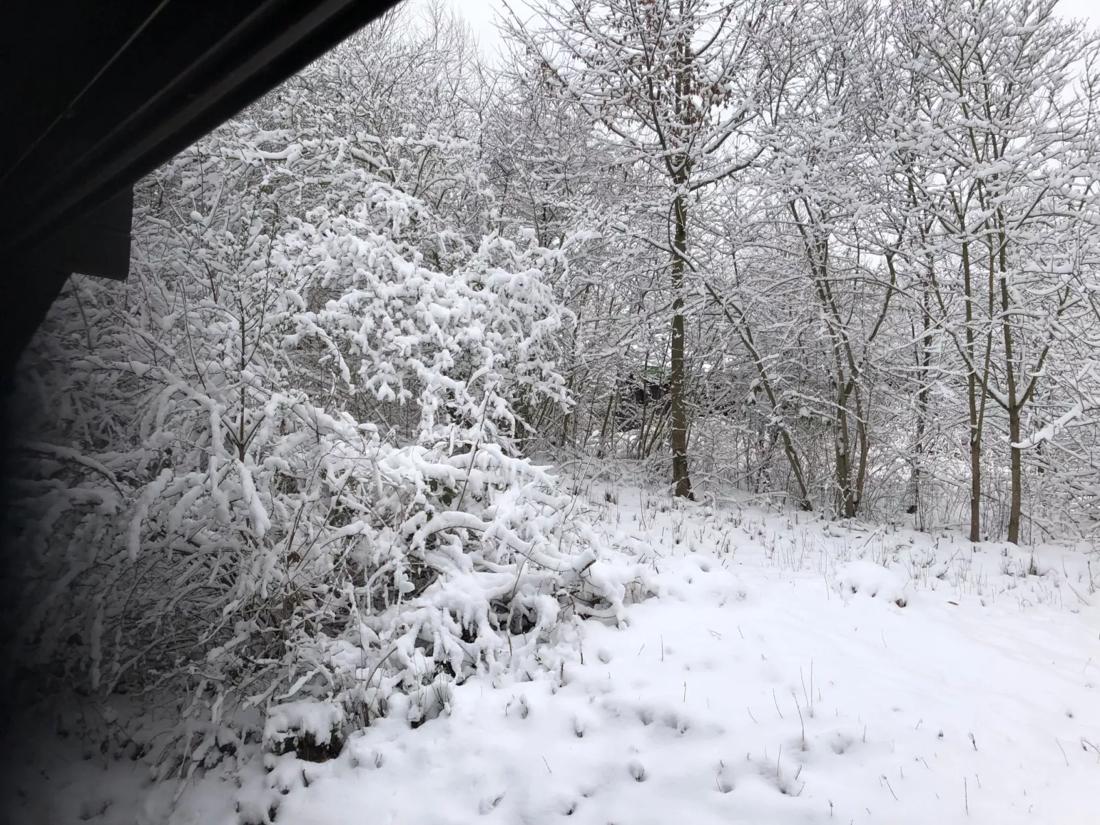 Wunderschönes Ferienhaus am Waldrand-Buiten