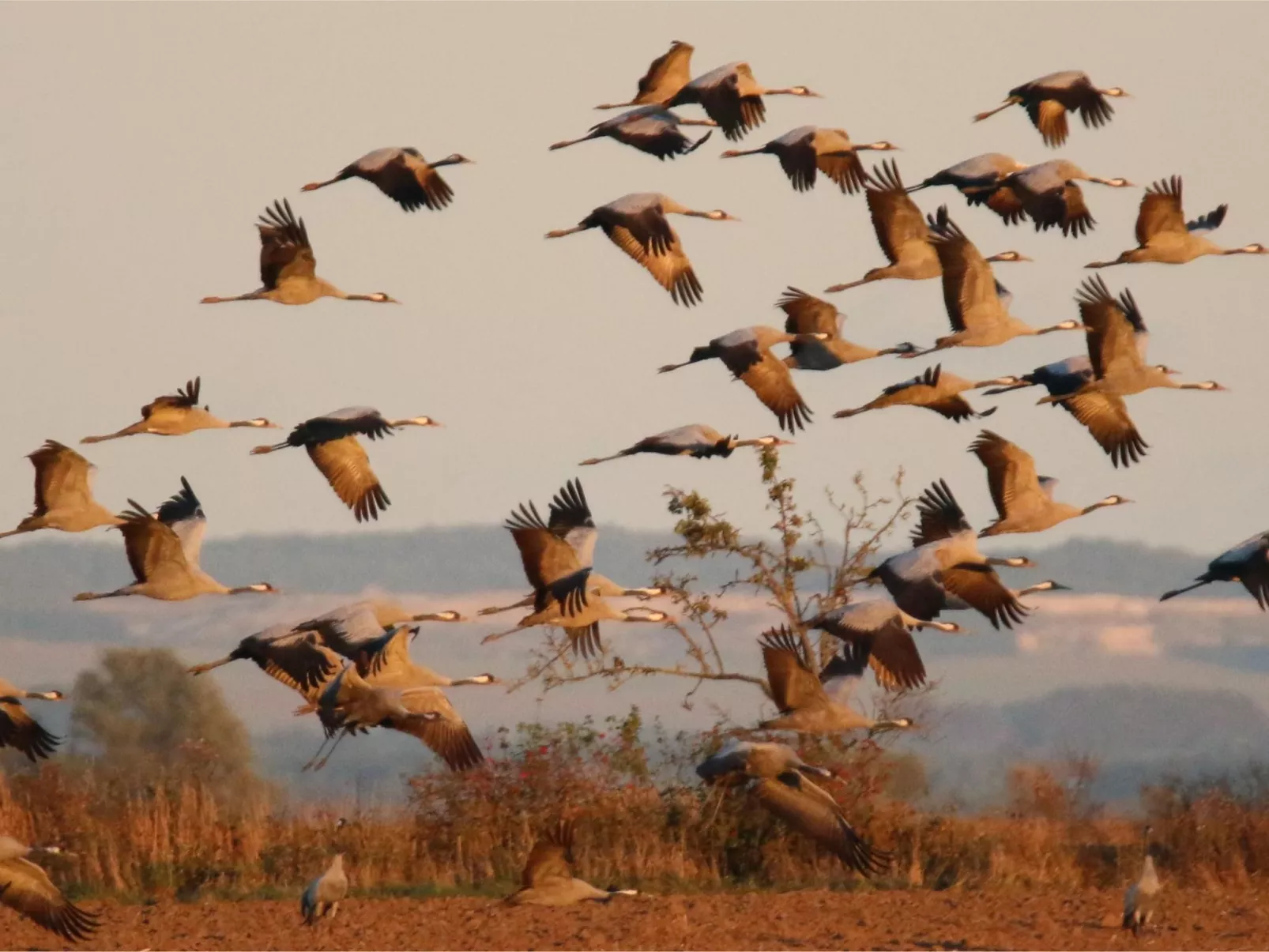 Meeresblickpanorama-Buiten