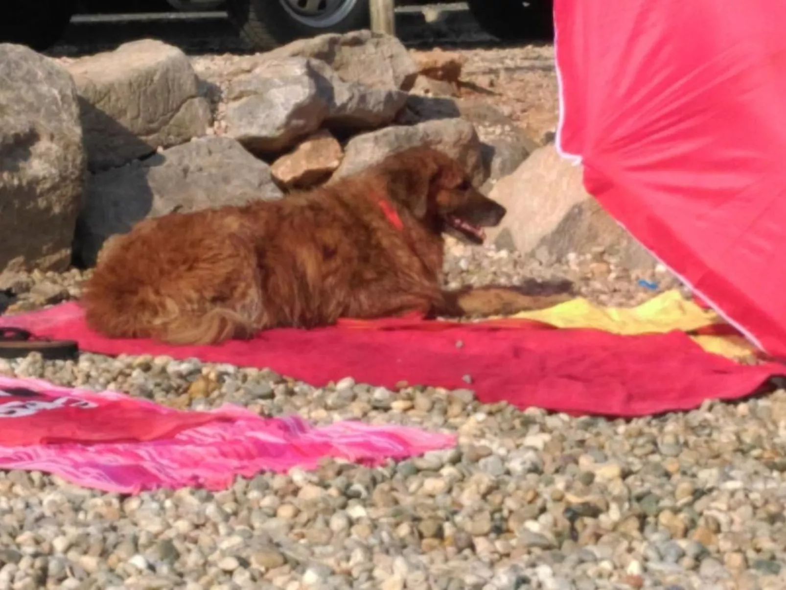 Mit Blick auf das Wasser-Image-tags.info