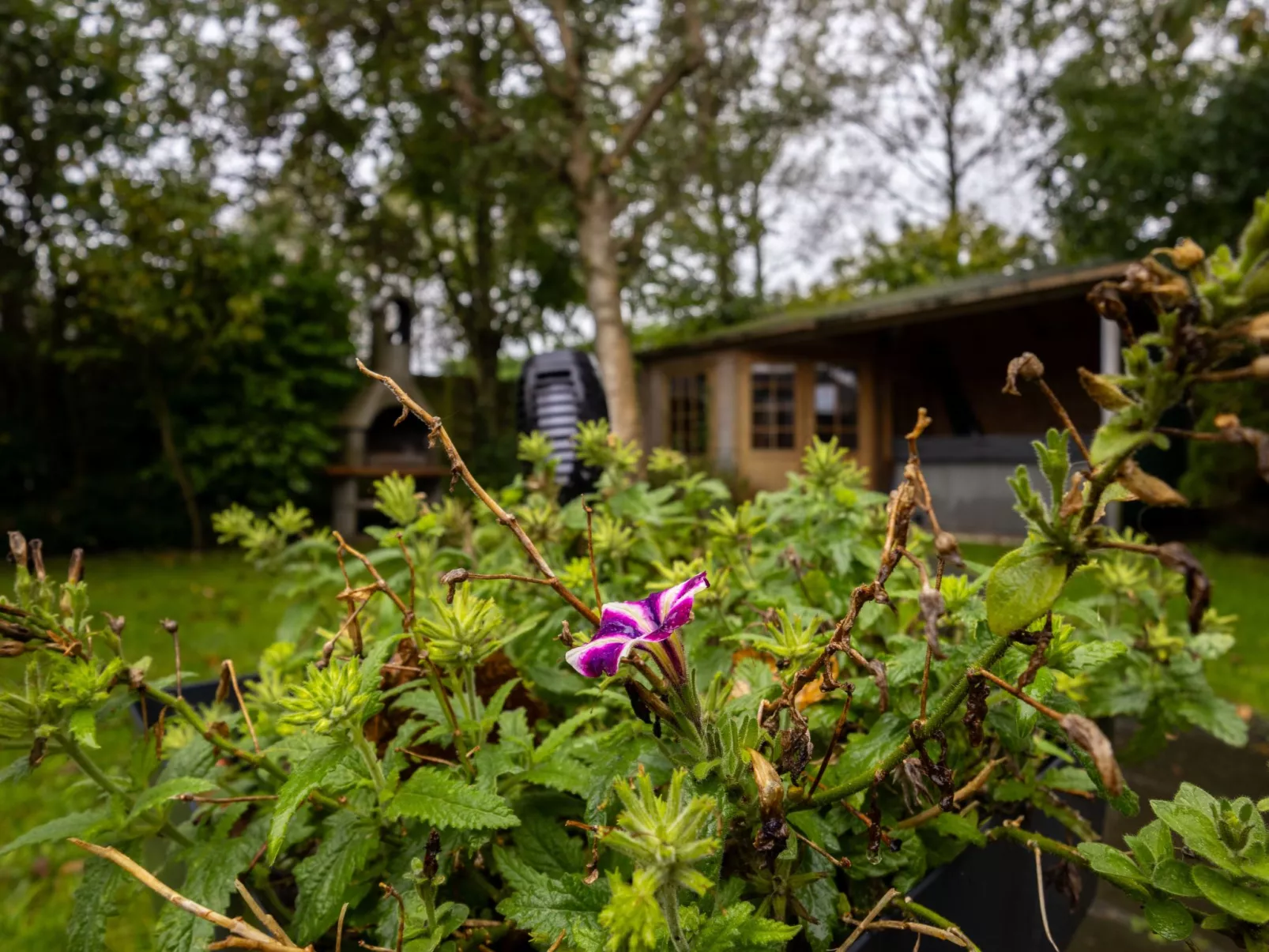 "Ferienhaus mit Jaccuzi"-Buiten