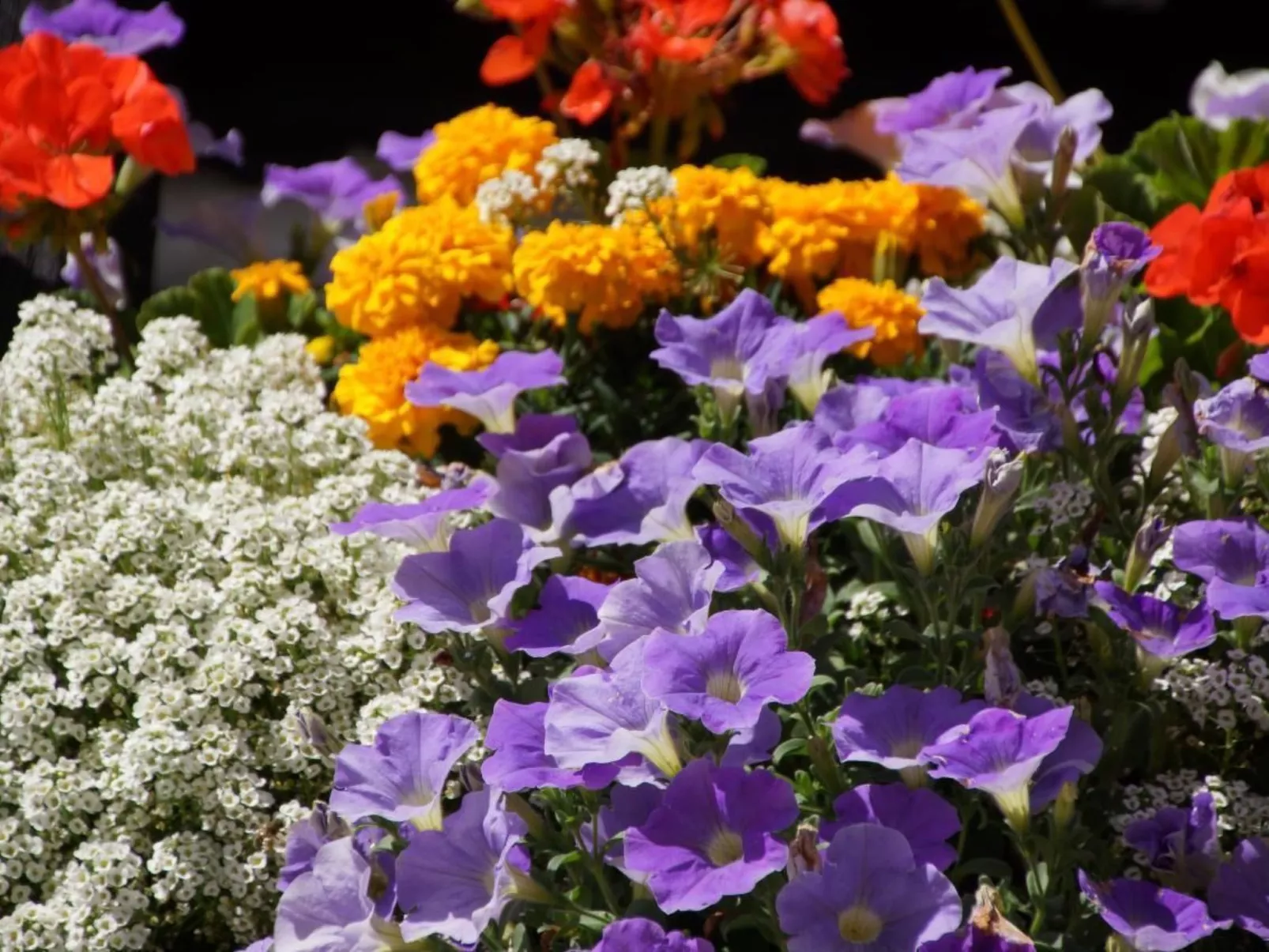 Mountain view-Buiten