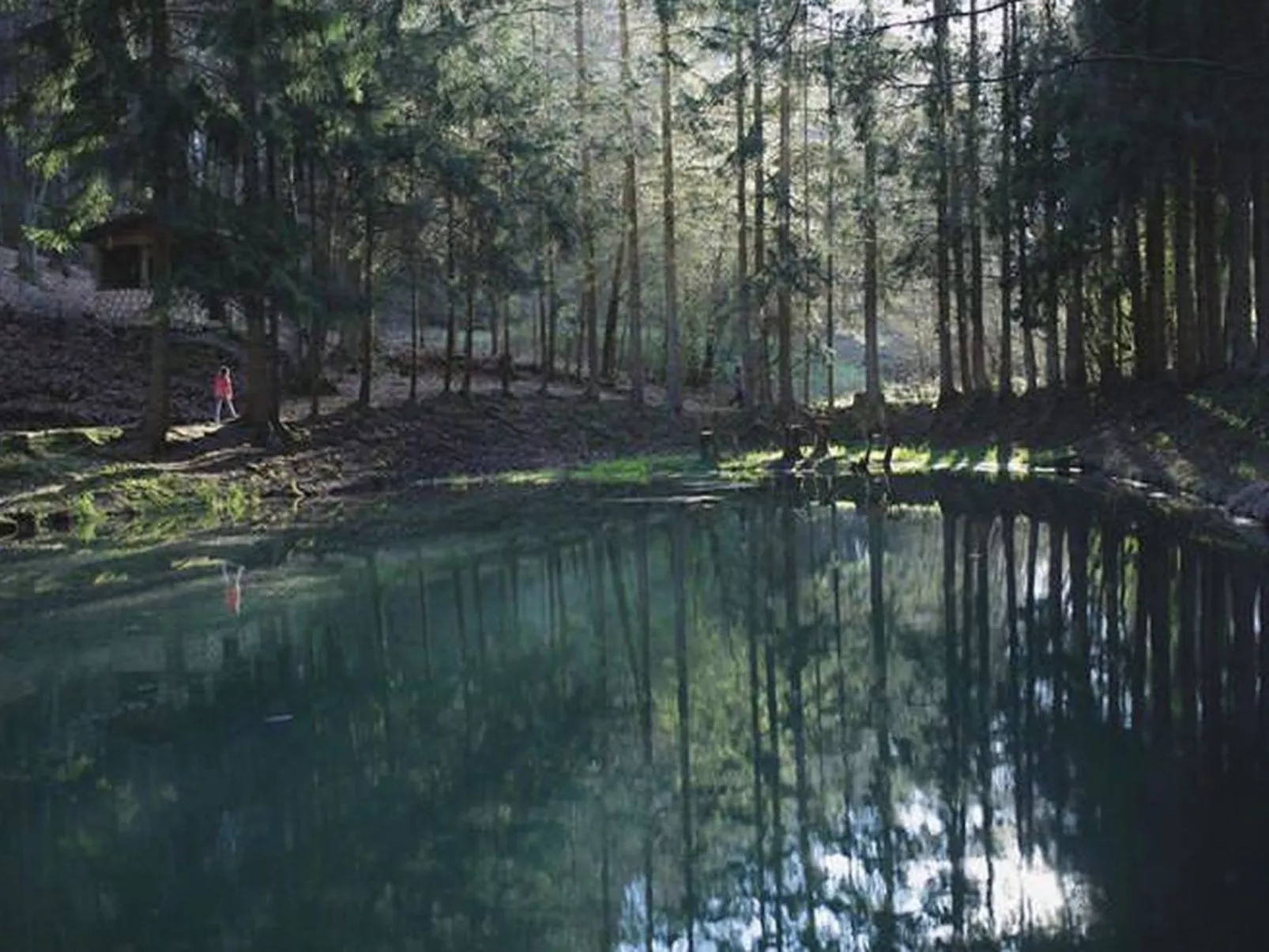 BärenNest Haus-Buiten