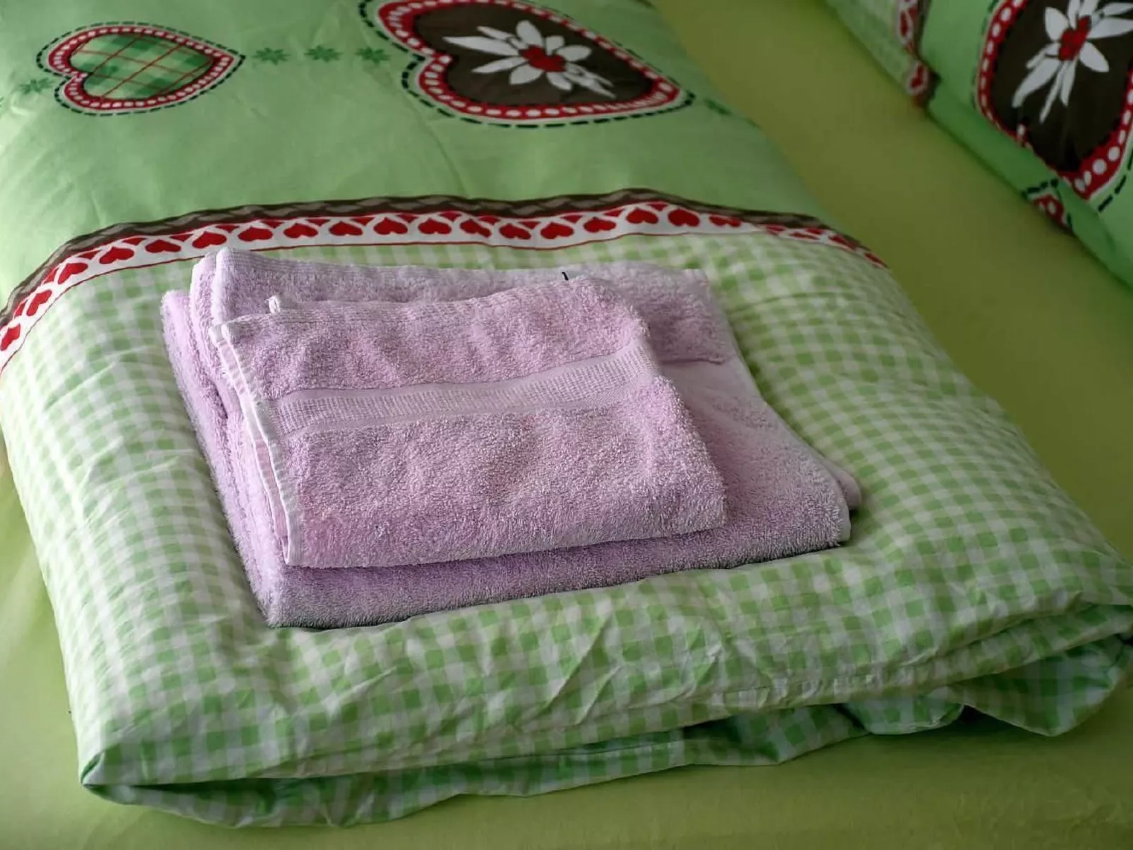 Resi Fewo Bernina-Binnen