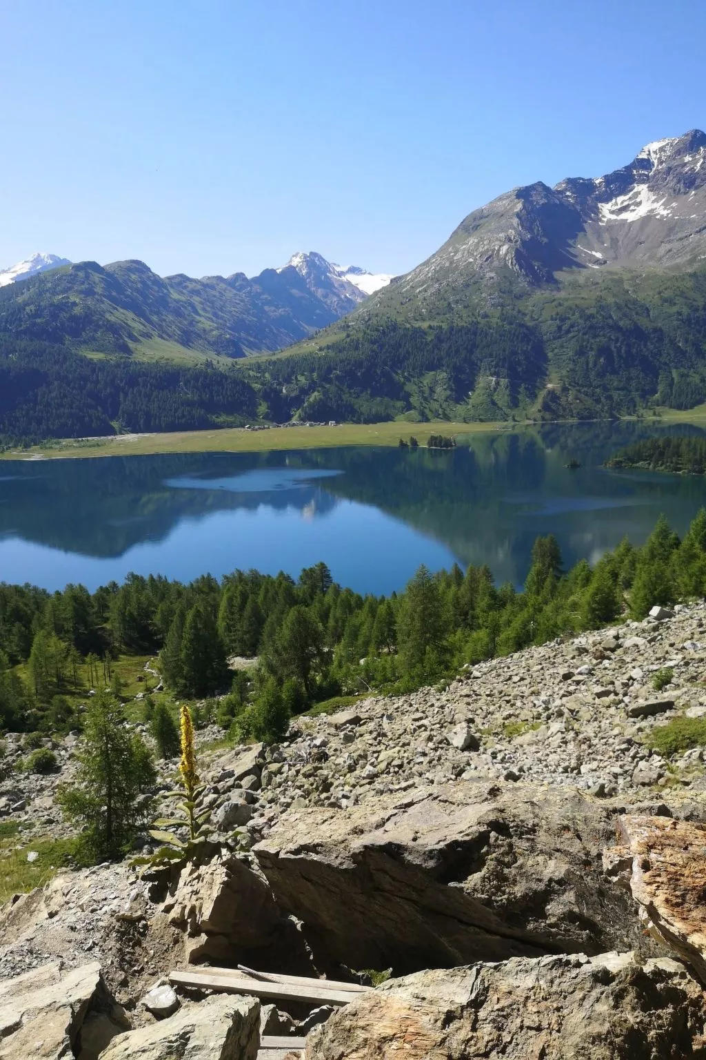 Studio Chesa Marias-Buiten