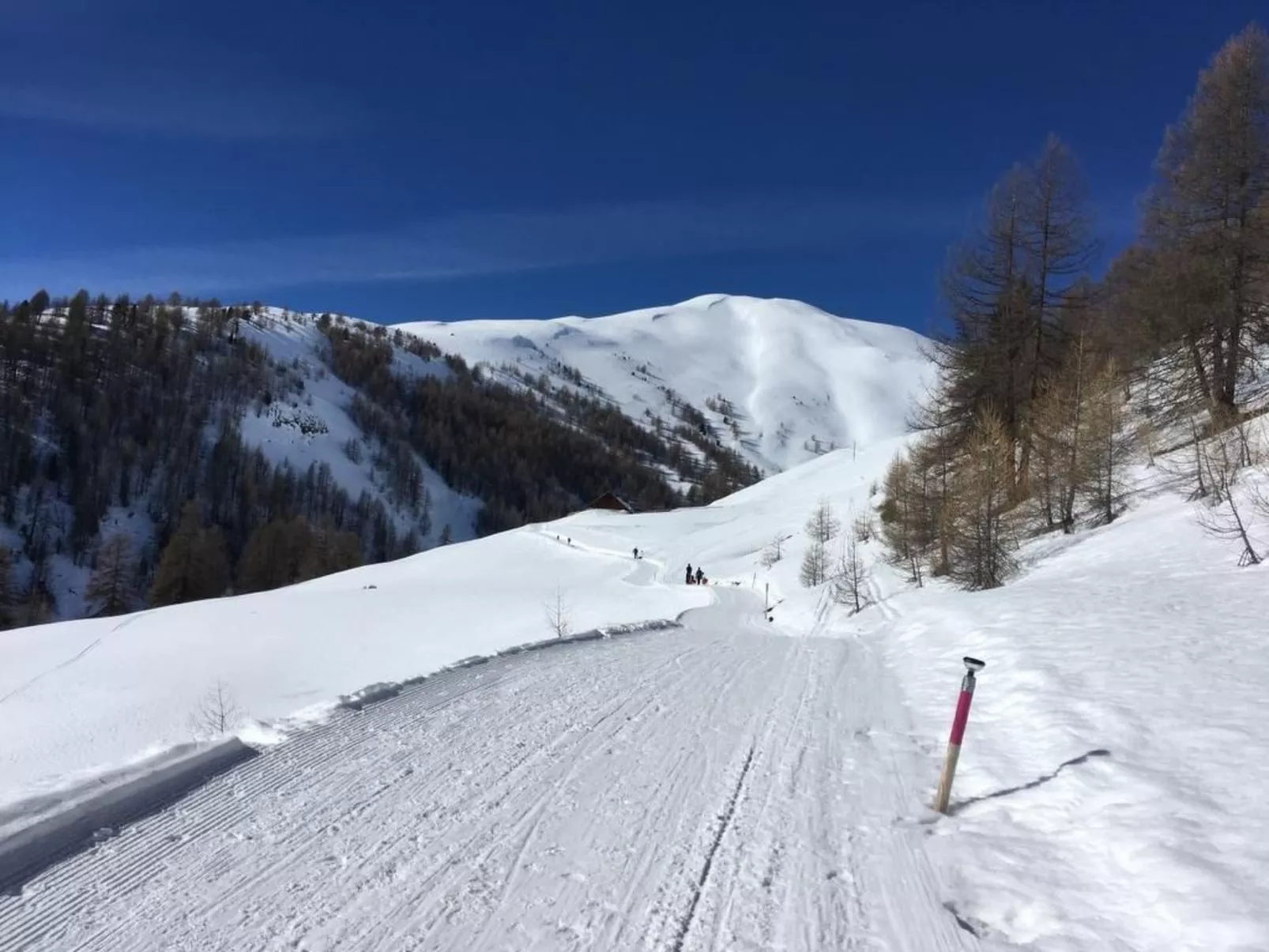 1 Zi. Whg.-Image-tags.info