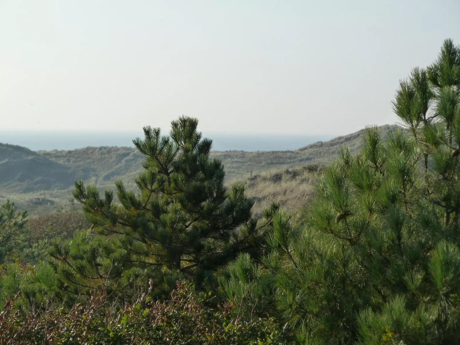 Lisakowski-Dorn-Buiten