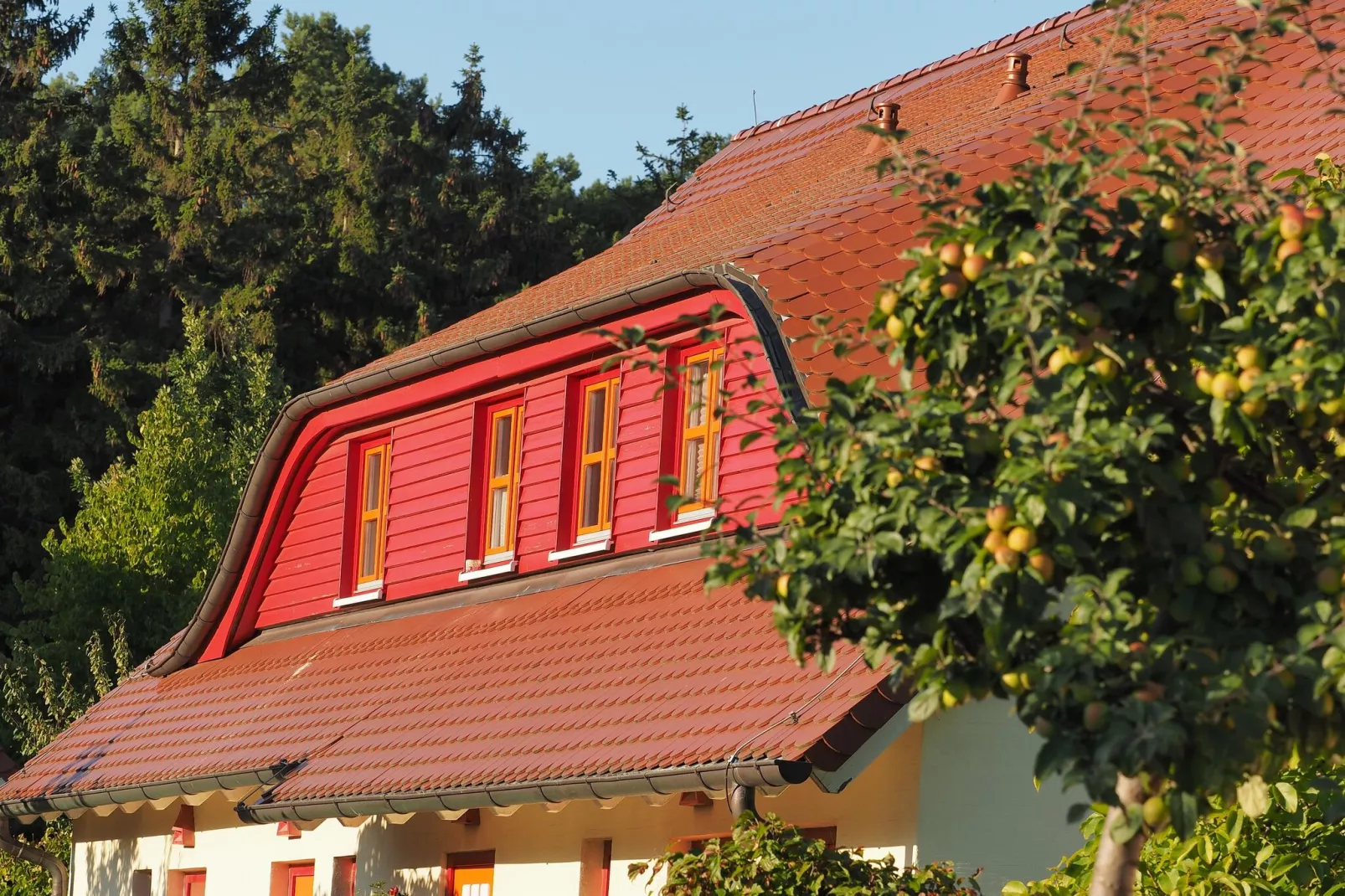 Typ E EG oder OG 3 Personen-Buitenkant zomer