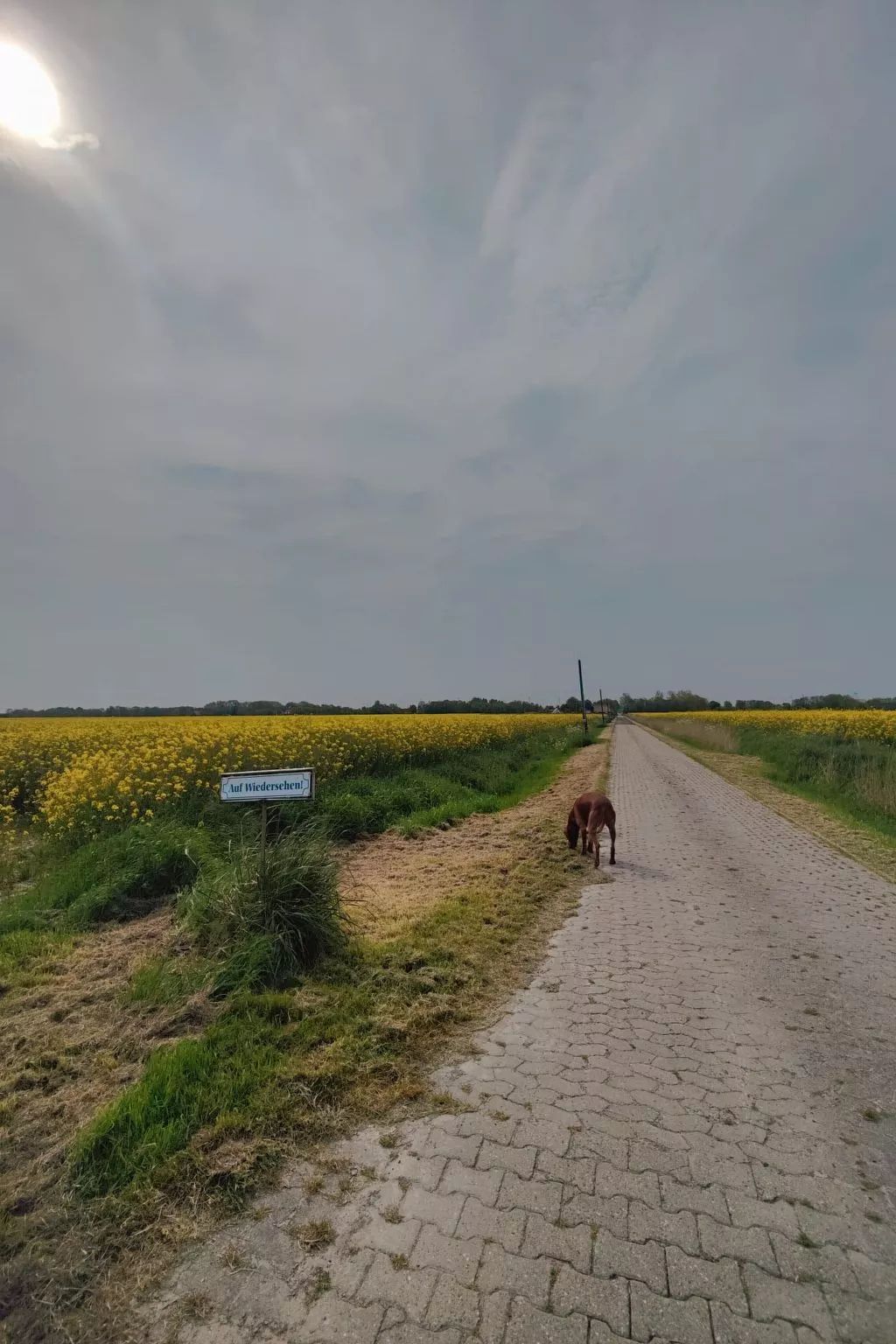  Buddecke-Image-tags.info