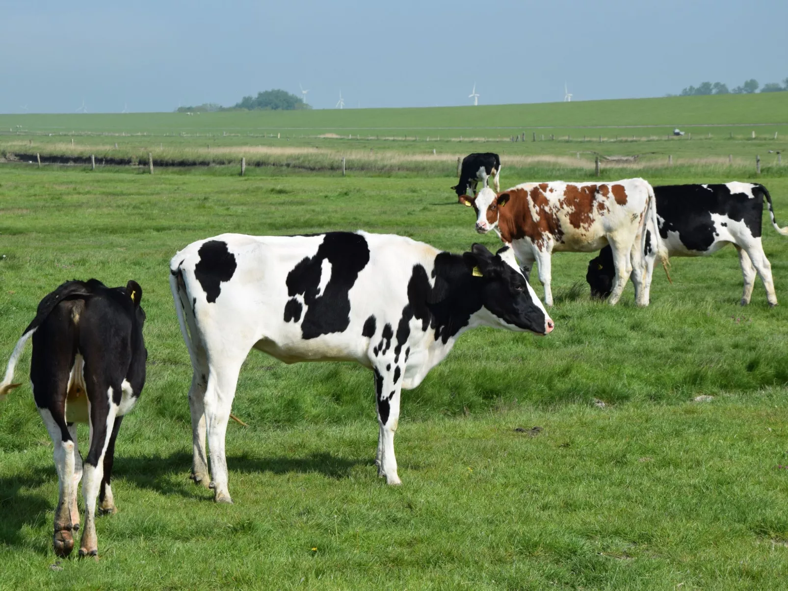 Auszeit in Nordwest-Buiten