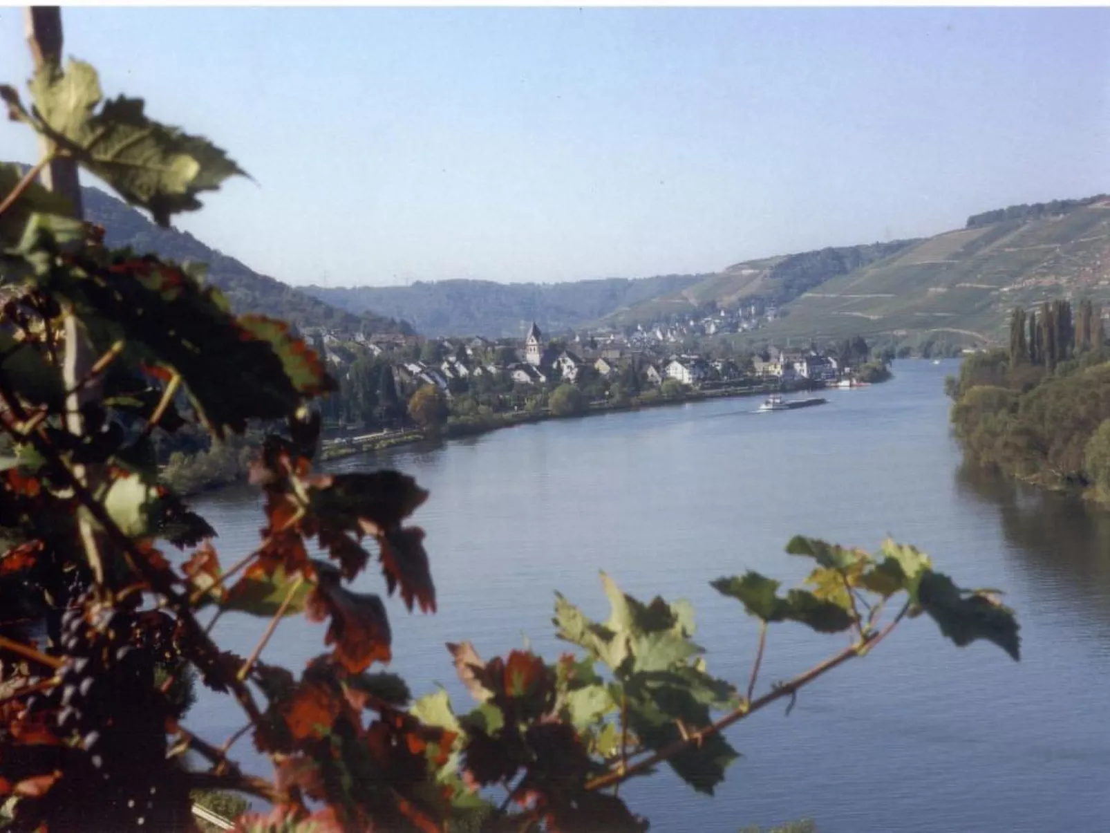 Gerä¤umige Ferienwohnung in Lay am Moselhang-Image-tags.info