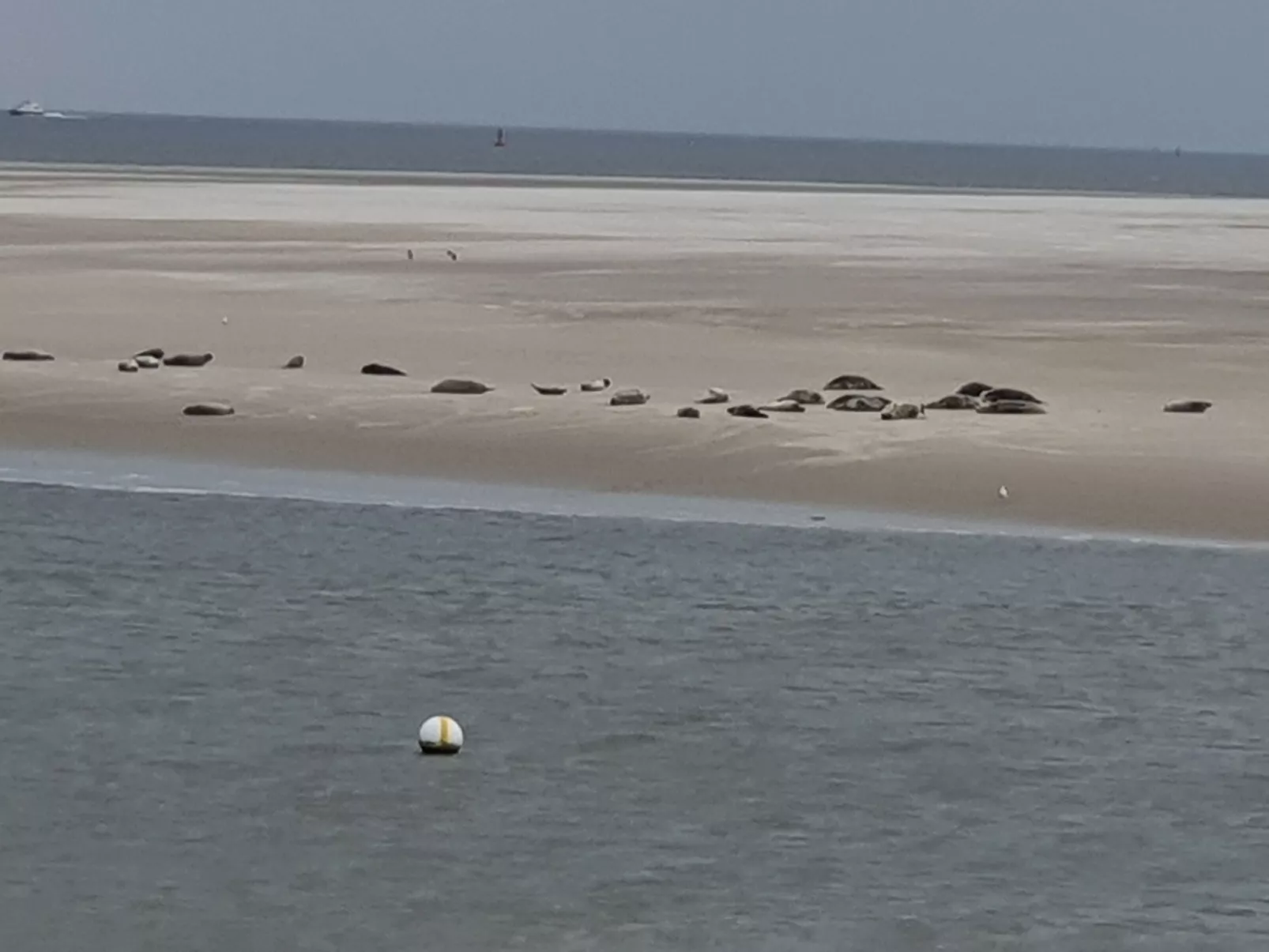 Apartment mit Terrasse am Südstrand-Binnen