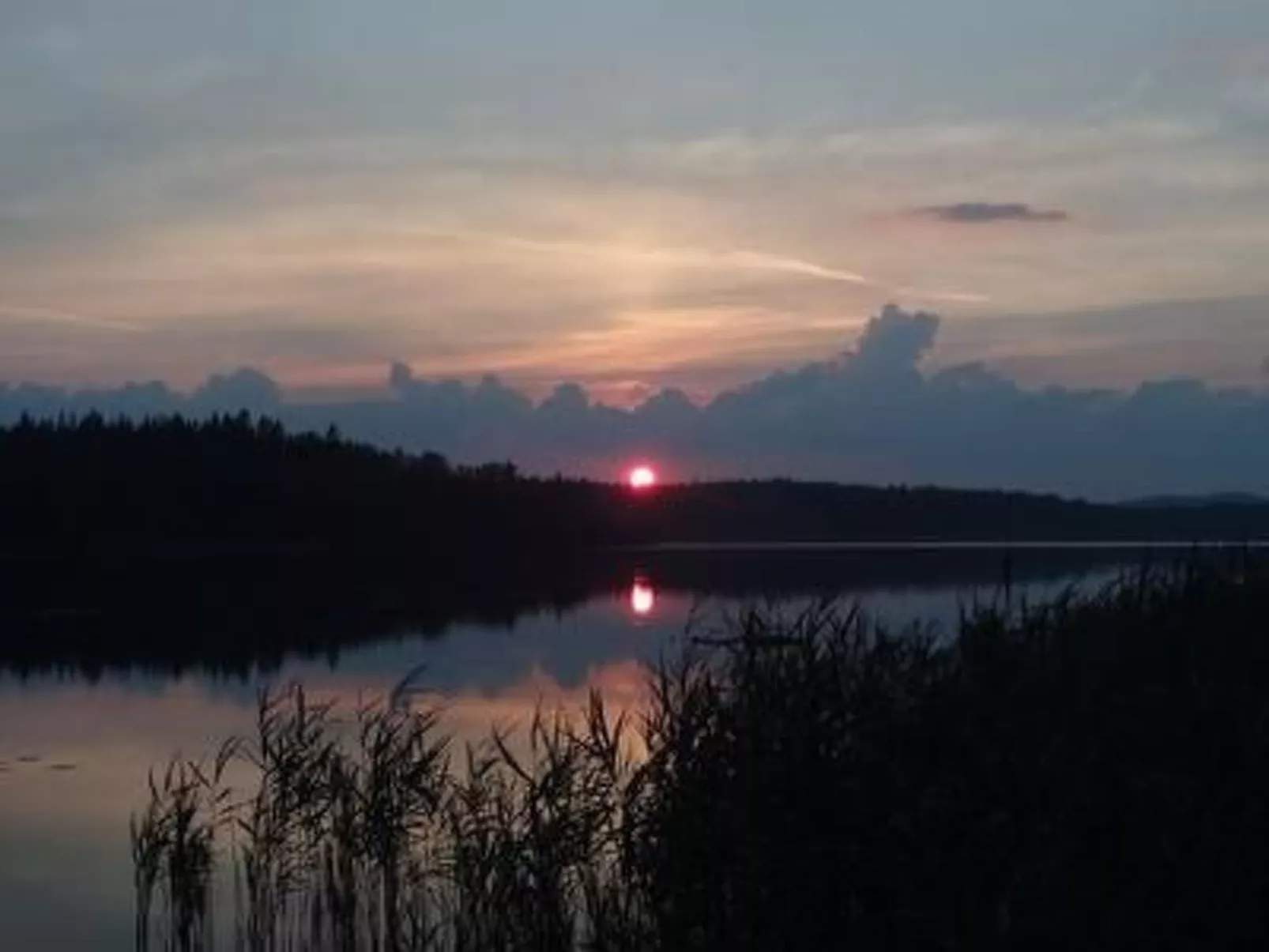 Charmantes Holzferienhaus mit Sauna-Buiten