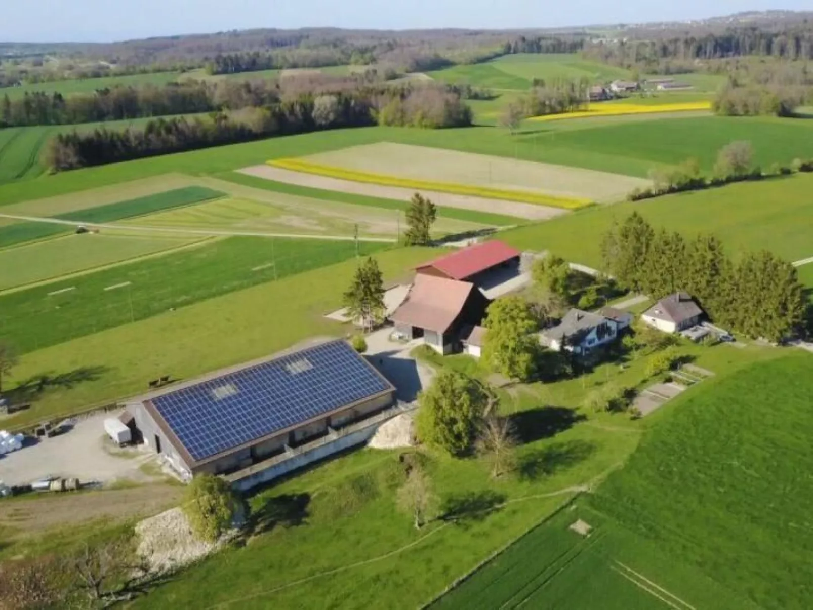 Wohnung "Bellevue"-Buiten