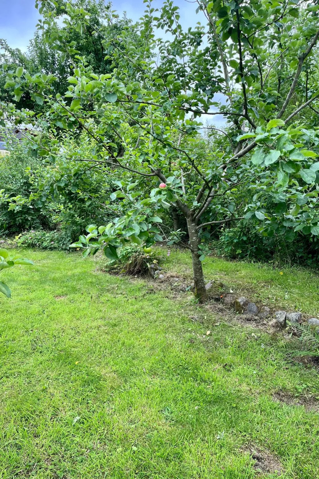 Apfel-Häuschen-Buiten