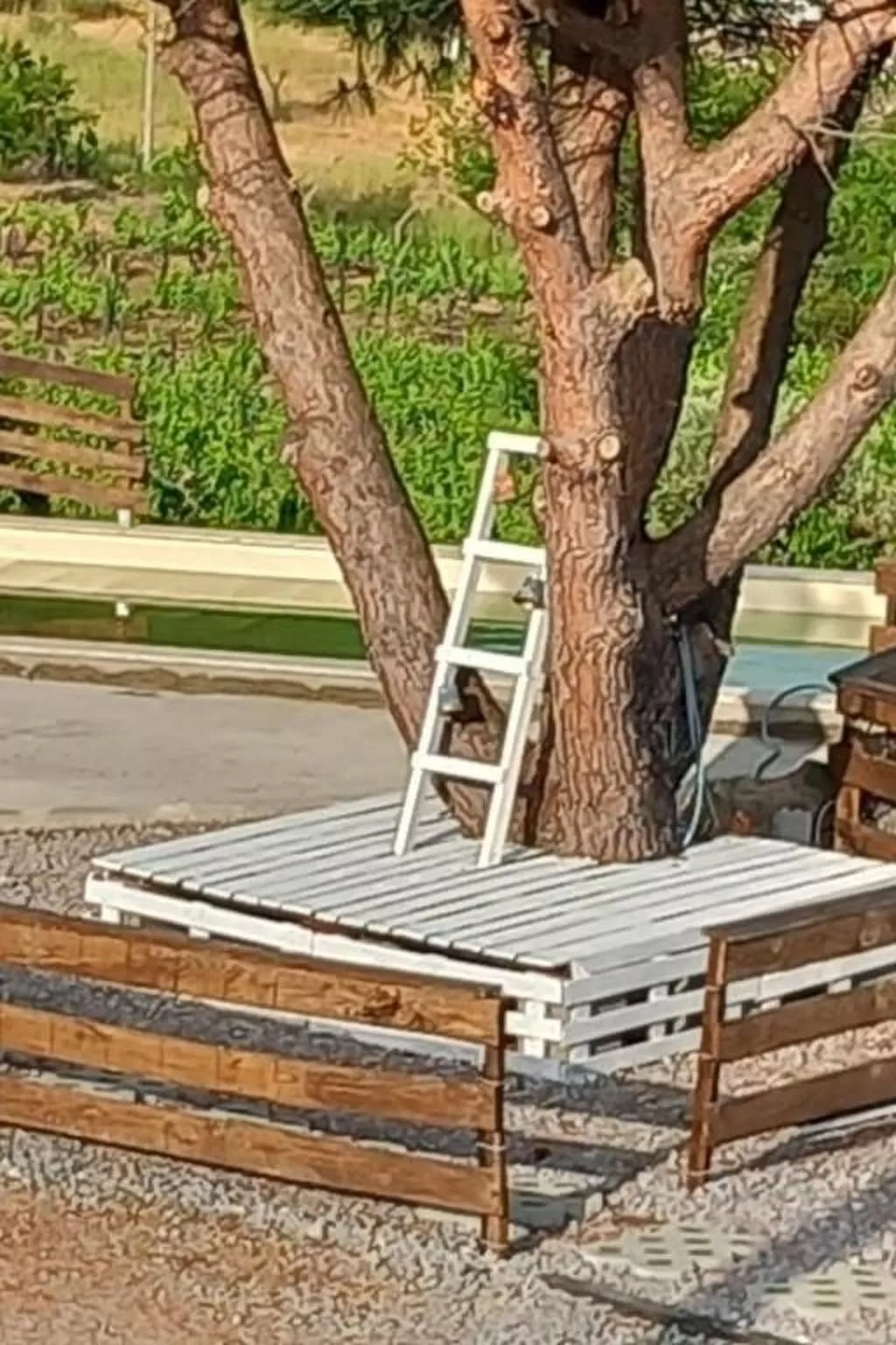 Weißes Haus in Douro Weinberge-Buiten