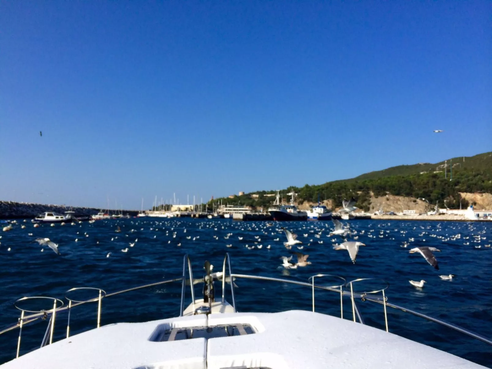 In Sesimbra mit Grill, Terrasse und Garten-Image-tags.info