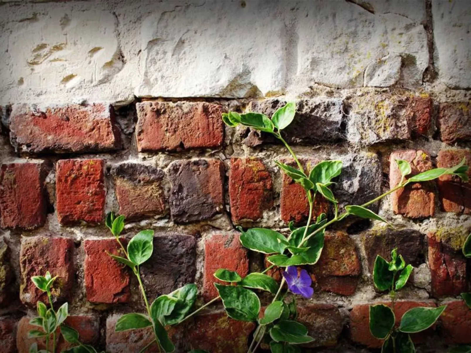 Liebevoll renoviertes Ferienhaus als Teil eines kleinen Bauernhauses mit abgesc-Buiten