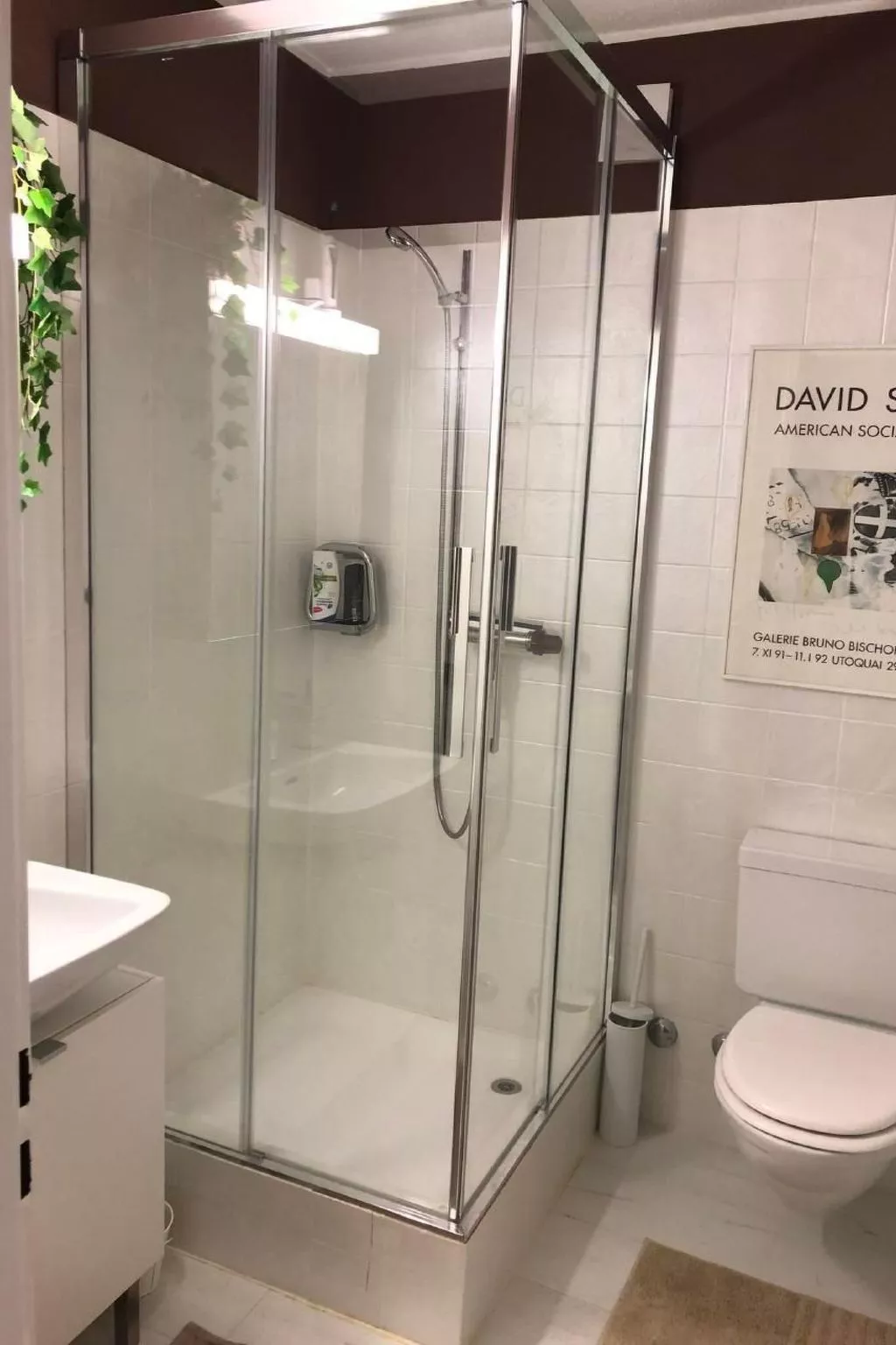 3.5 Zi - Ferienwohnung Miralago Morcote-Binnen