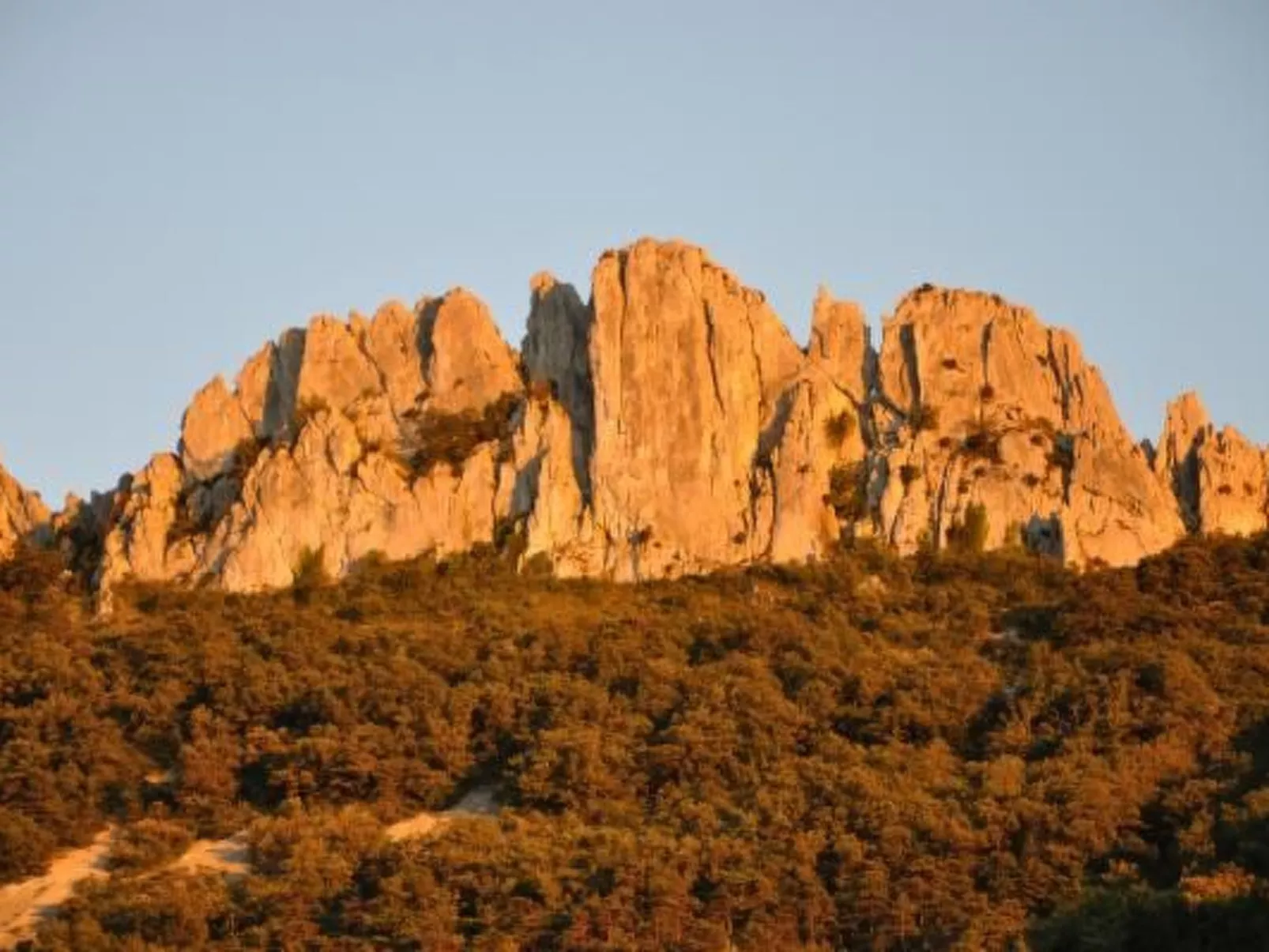 "Haus der Olivenbäume"-Image-tags.info