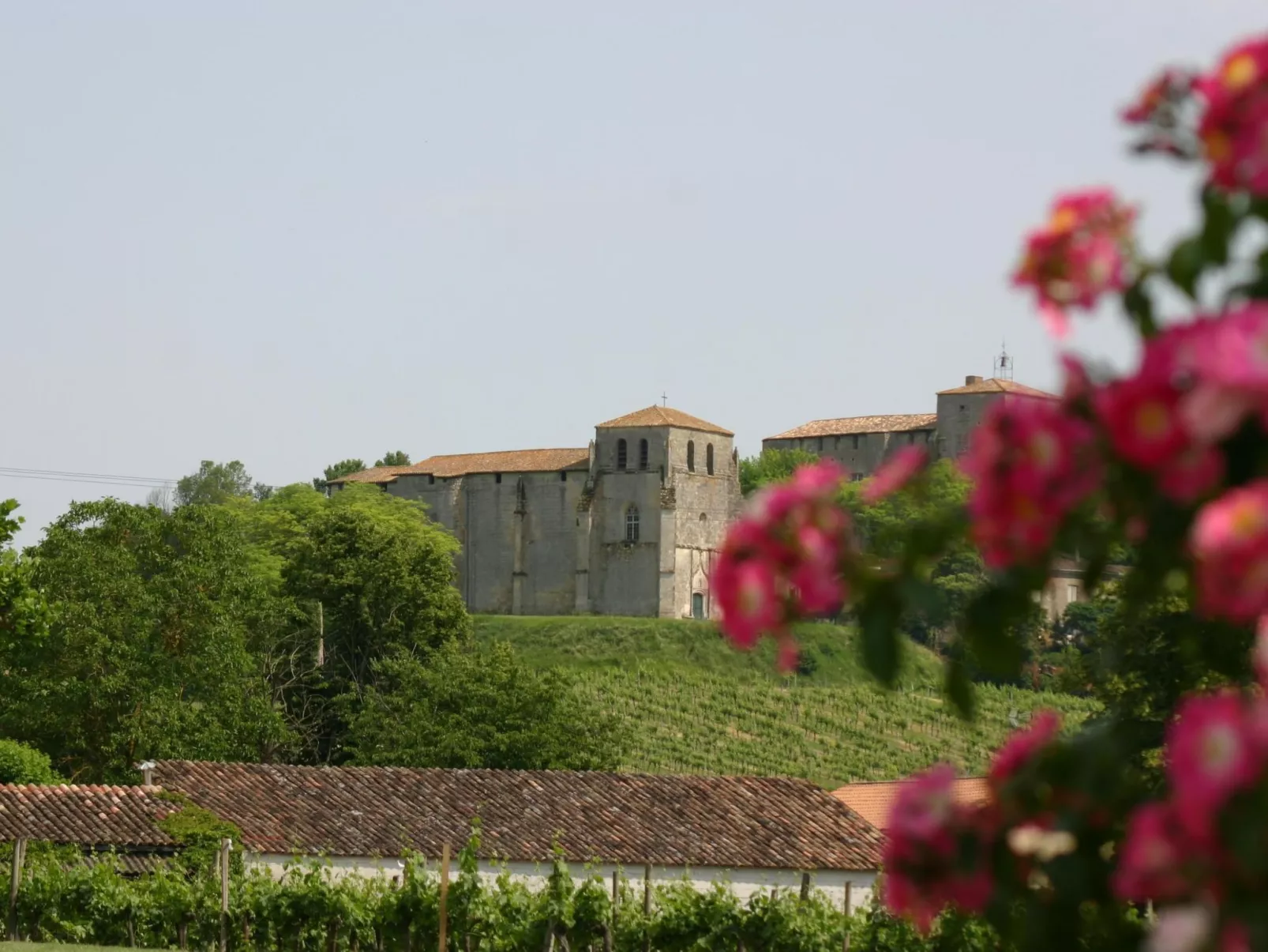 Pujols Petite-Buiten