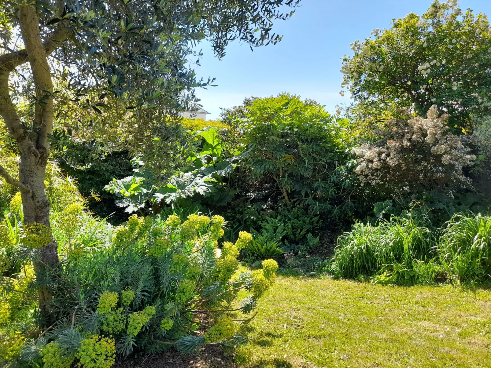 Großes Familienhaus mit schön angelegtem Garten-Buiten