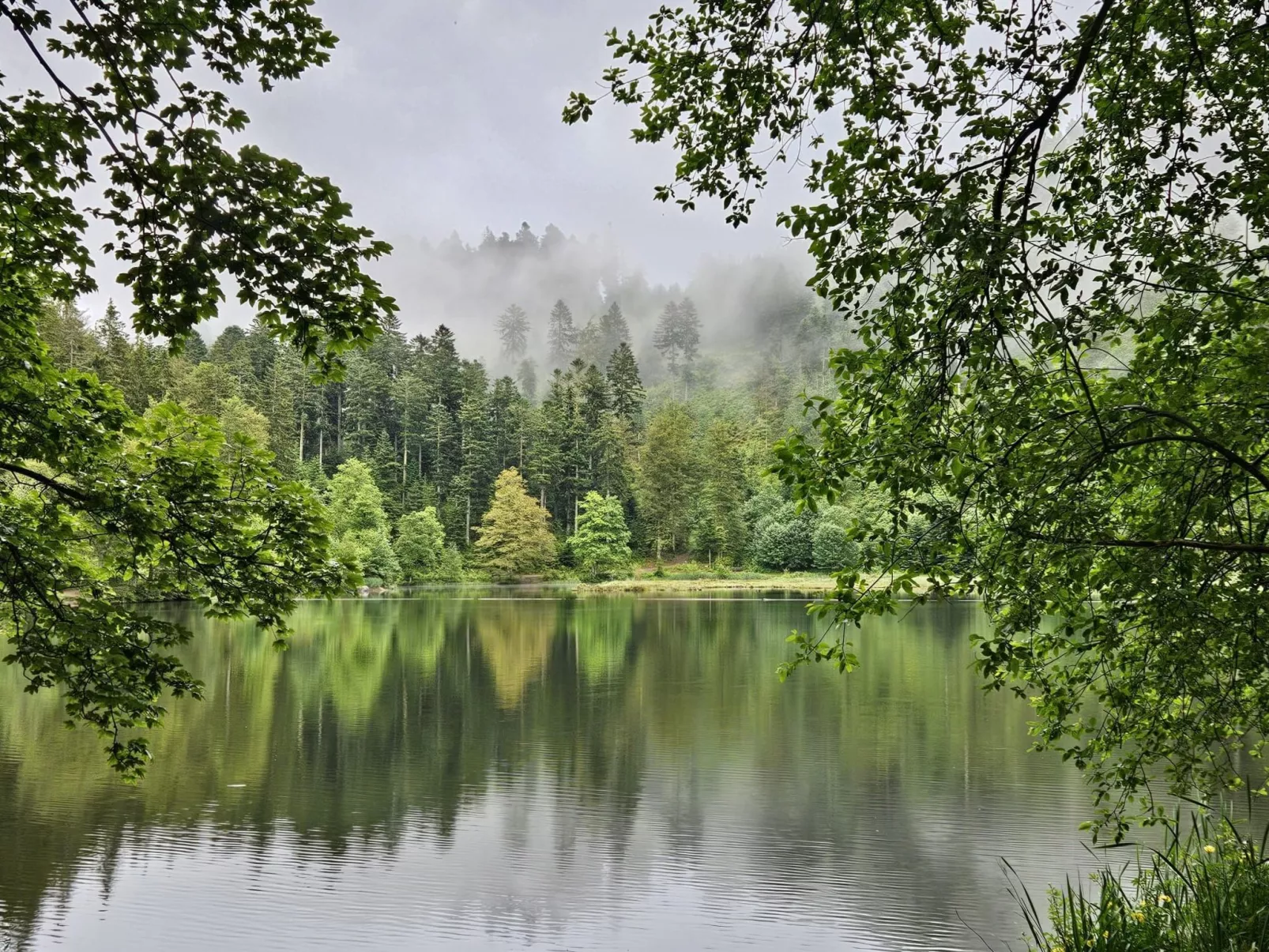 In Ventron mit eingezäuntem Garten-Image-tags.info