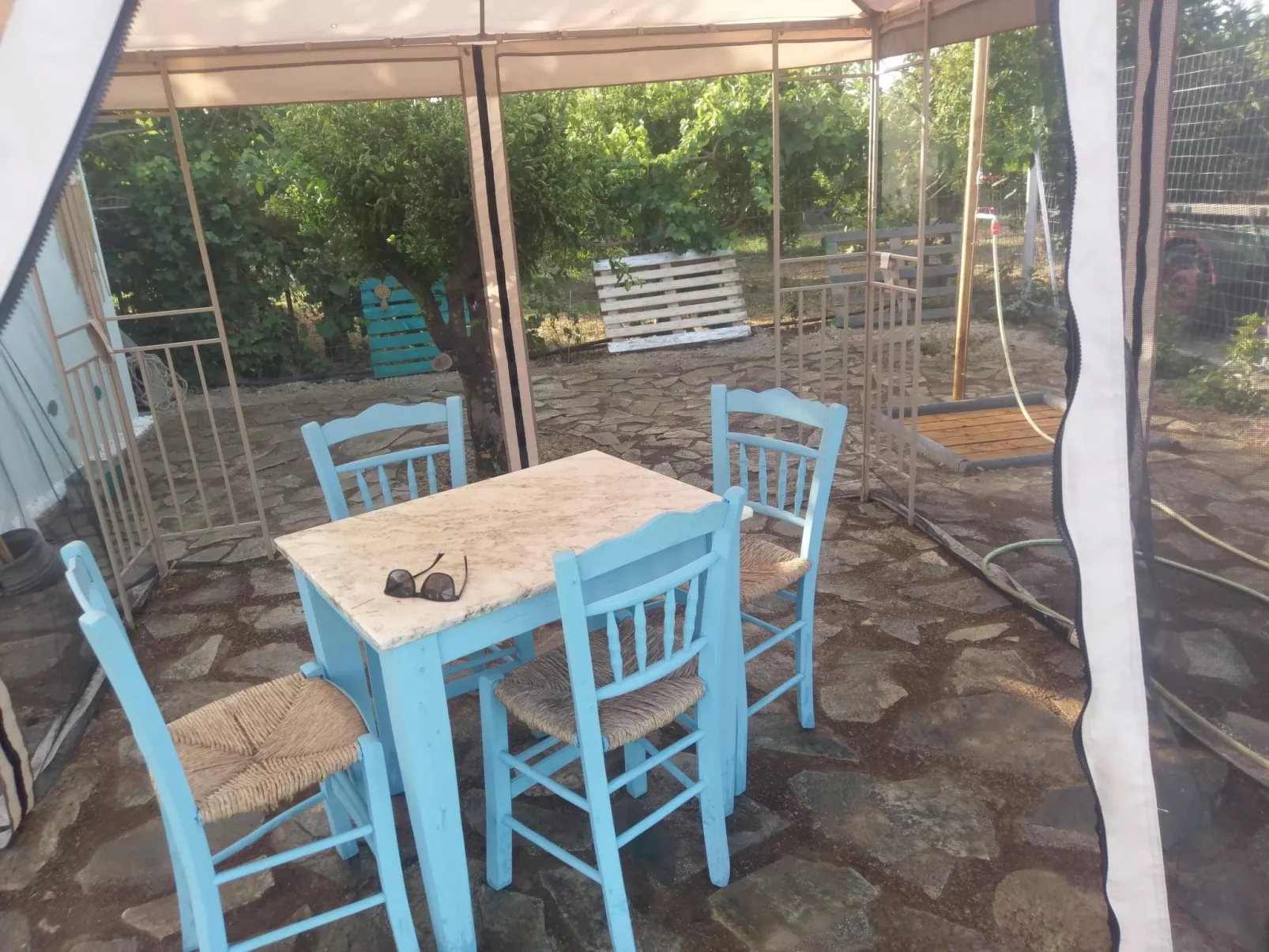 Neben Orangenbaum-Obstgarten-Buiten