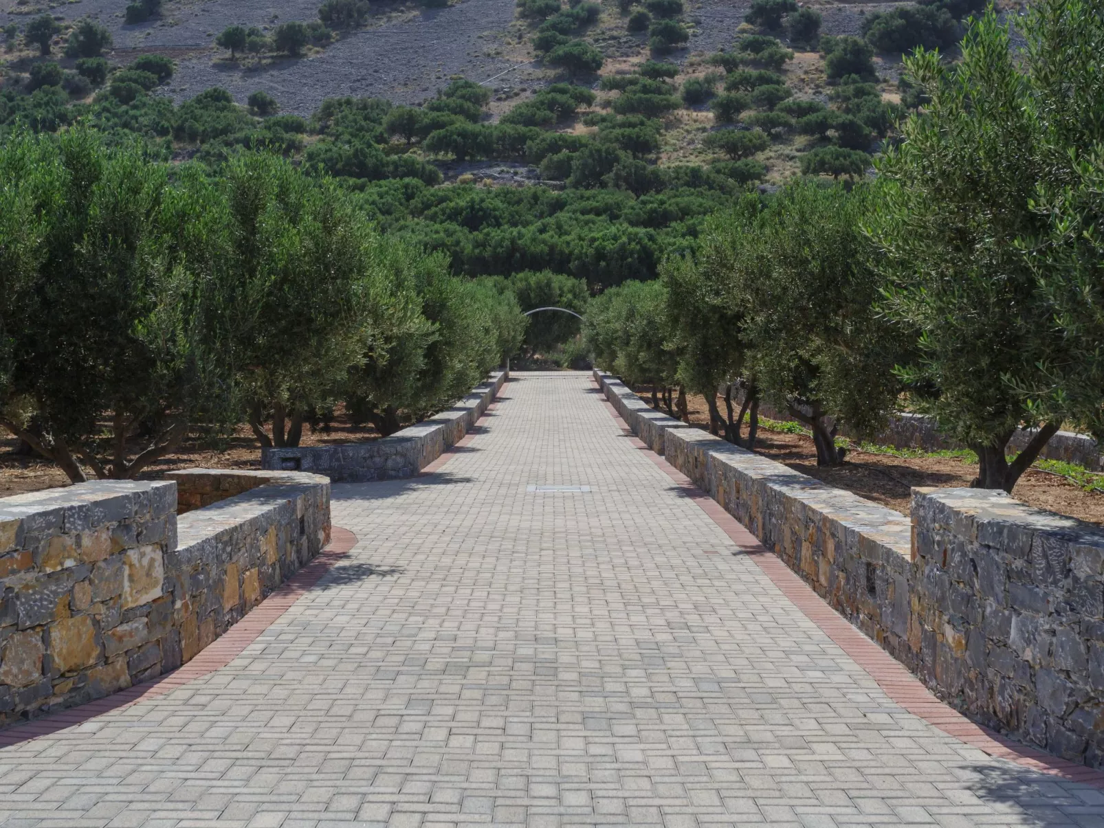 Villa mit Grillplatz und privatem beheiztem Pool-Buiten