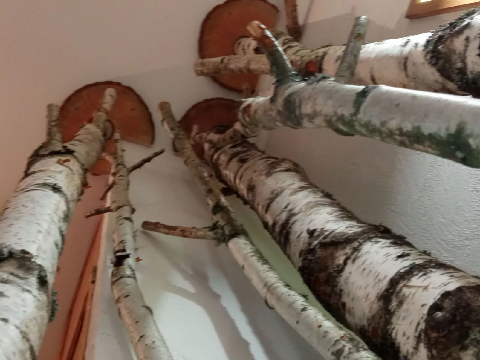 In der Provence, Außergewöhnliche Villa, Okzitanien, Gard-Image-tags.info