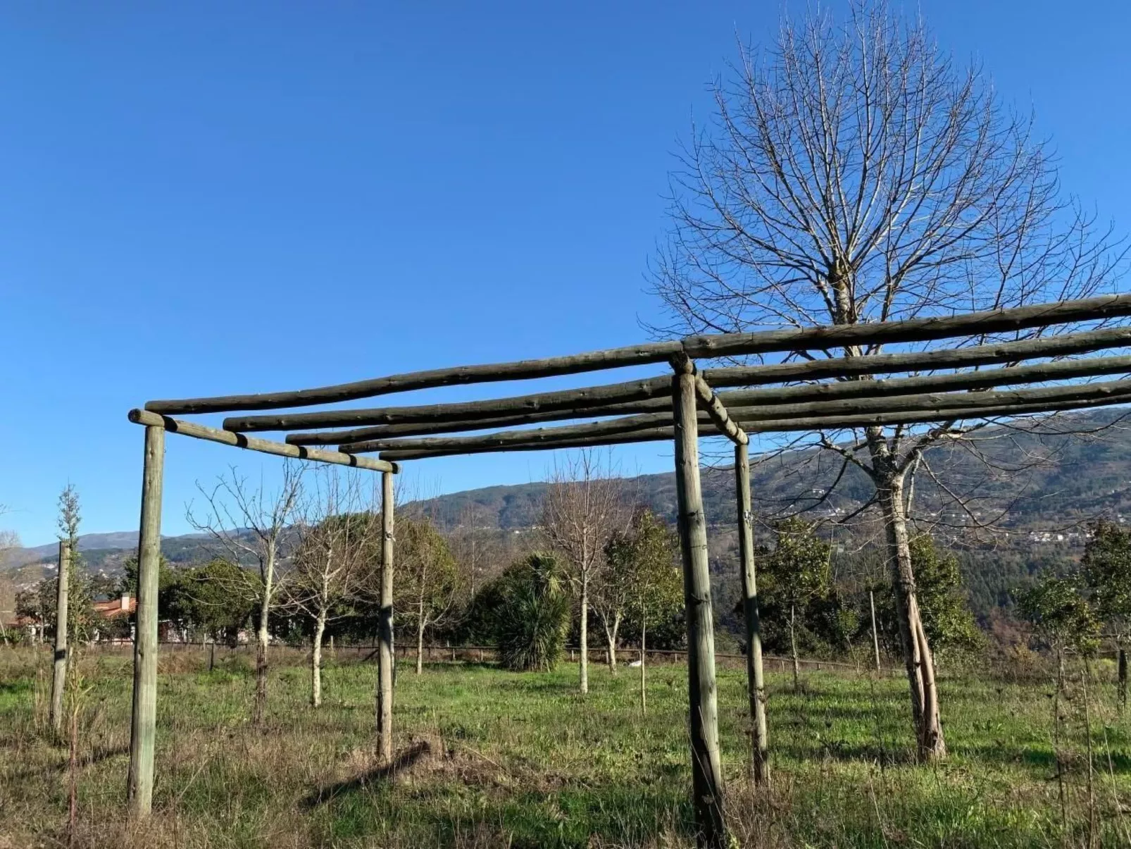 Mit Blick auf das Wasser-Buiten