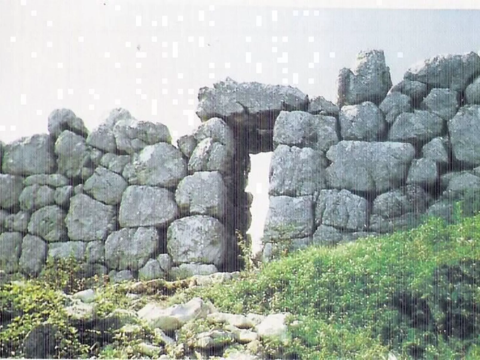 Wohnung L'Ulivo-Buiten