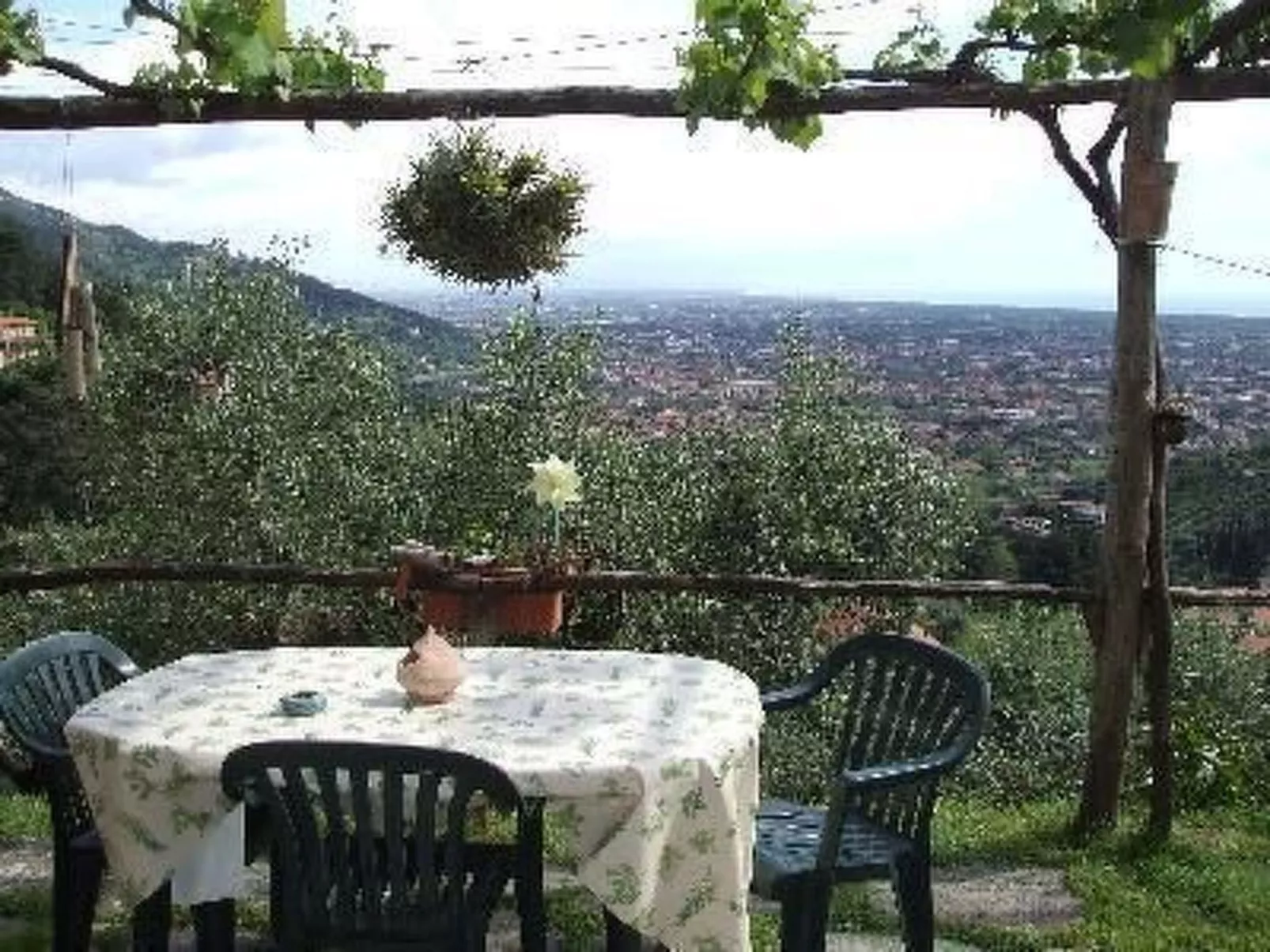 Mit Blick auf das Wasser-Image-tags.info