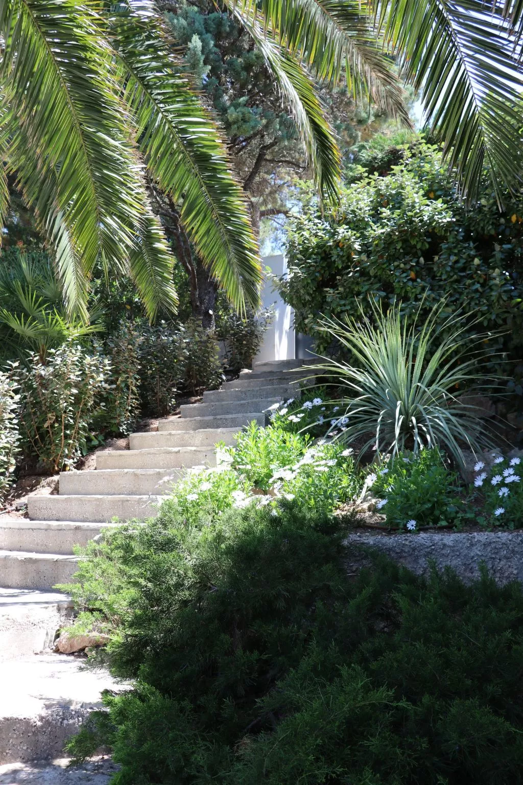 "Mesomax" mit Meerblick-Buiten