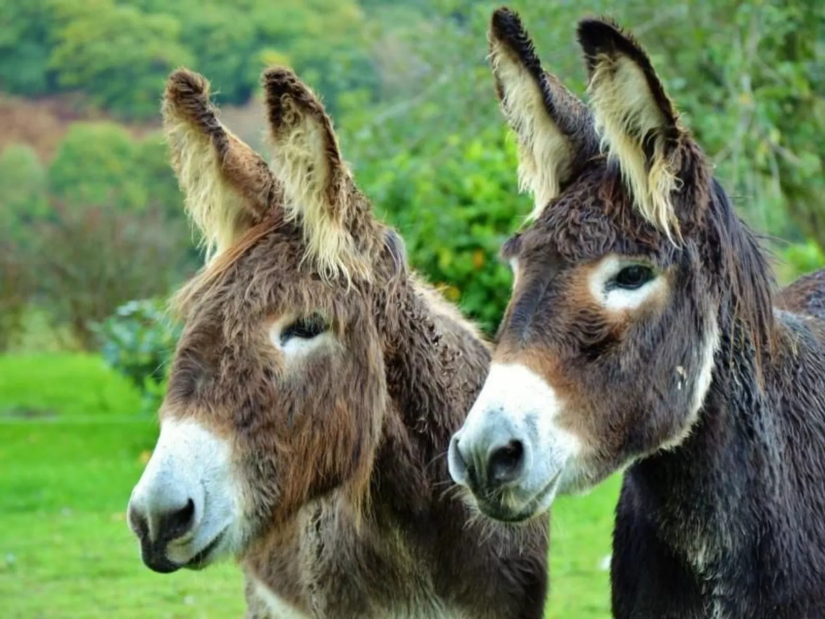 ARTZAMENDI-Image-tags.info