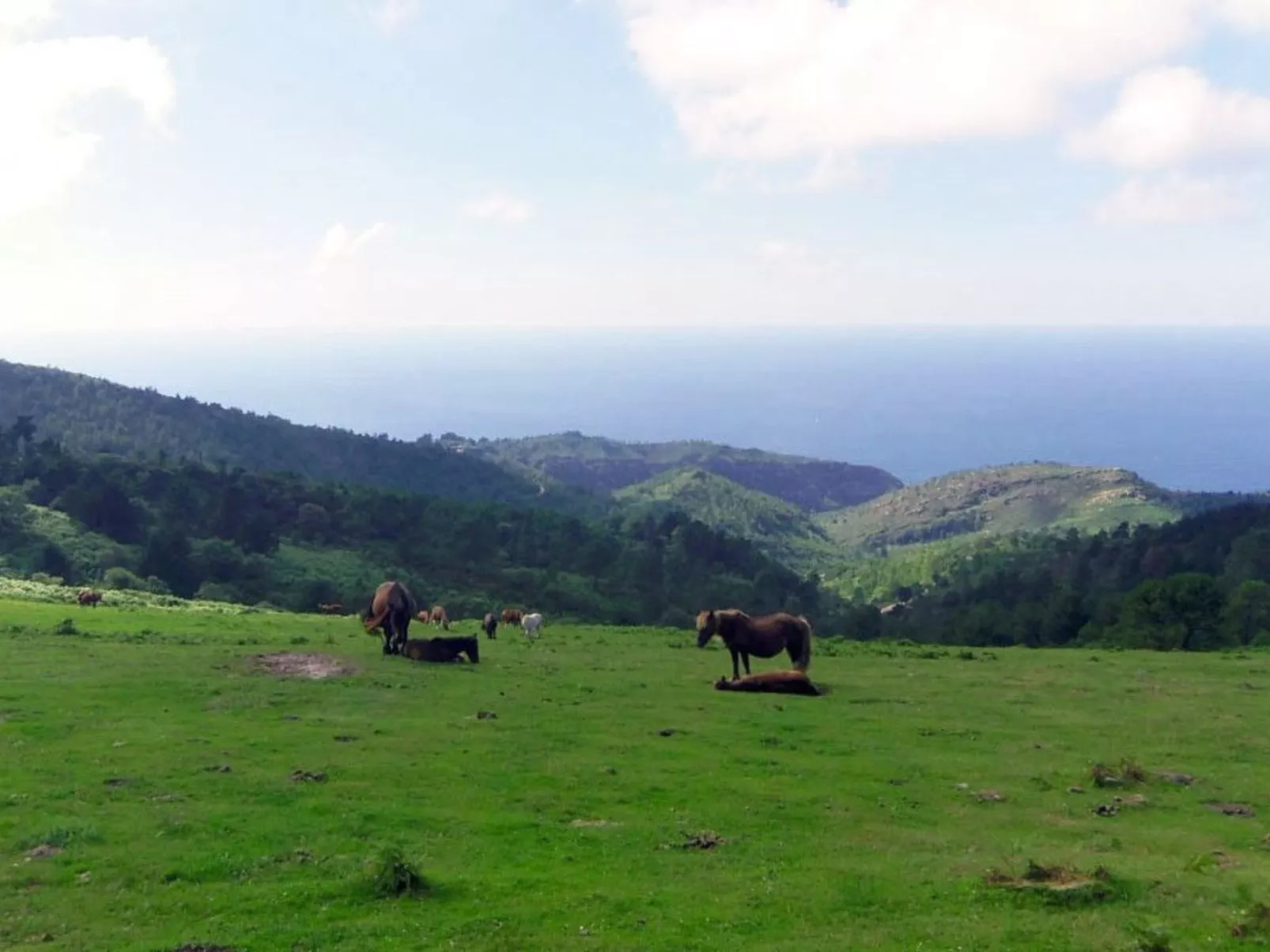 Fewo mit Terrasse-Buiten
