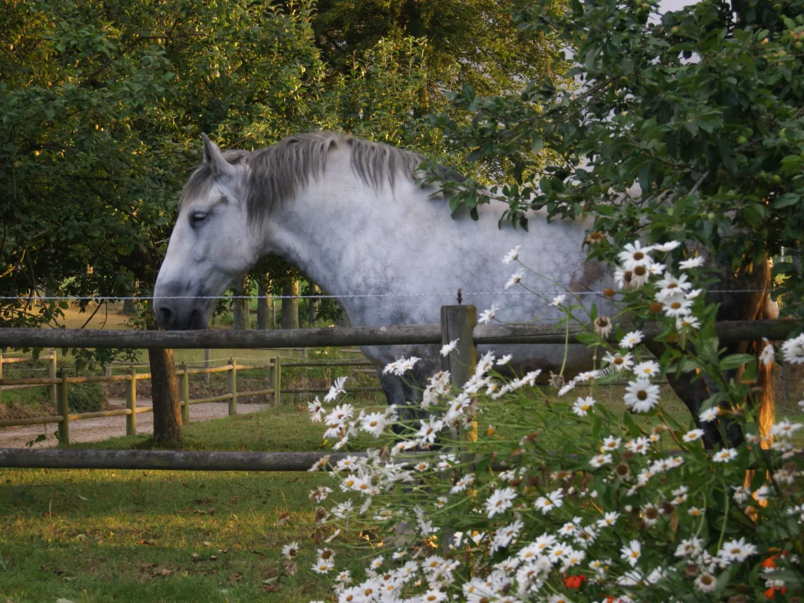 Charmante normannische Ferienwohnung les chataigniers 3 Zimmer-Buiten
