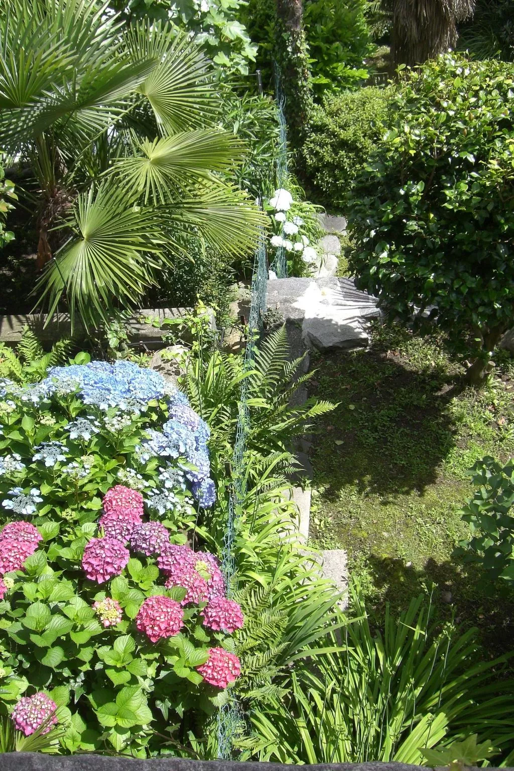 Casa Reduit Giardino-Image-tags.info