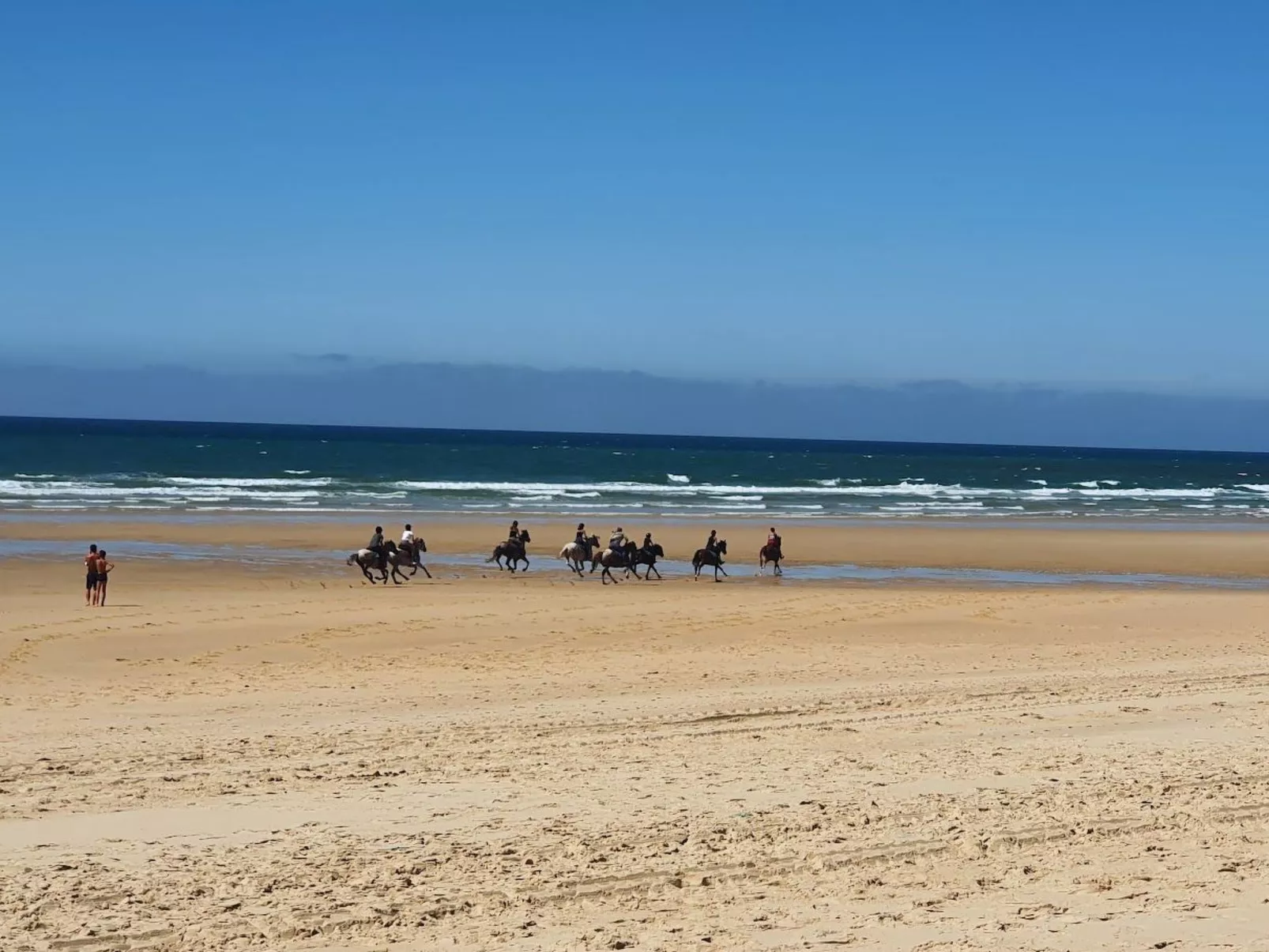 Villa Cocoon Contis-plage 1 chambre-Image-tags.info