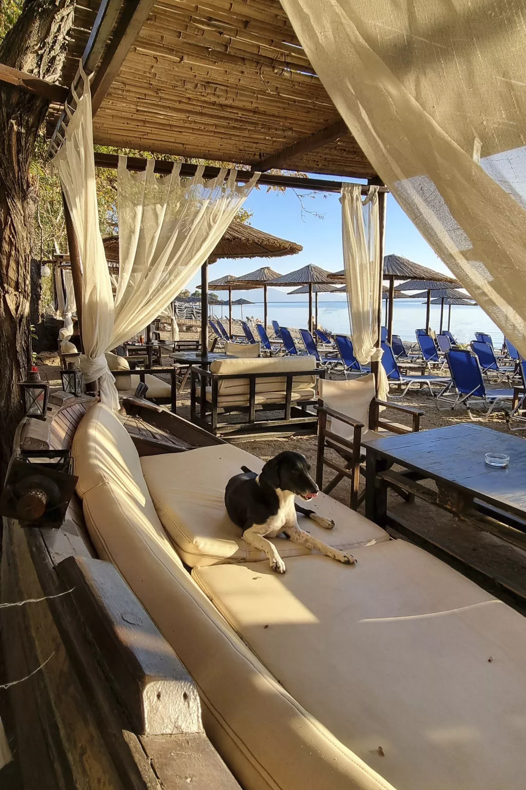 Ferienunterkunft "Villa Agape Pelion"-Binnen