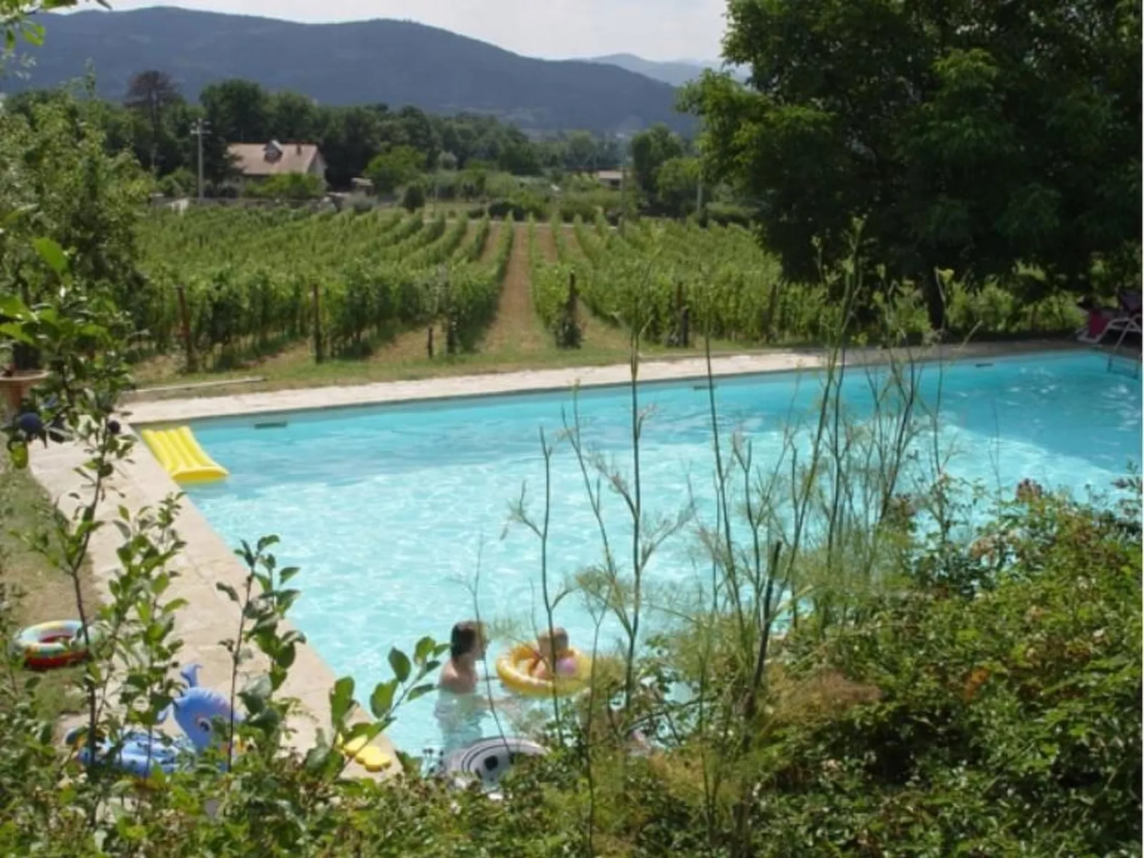 Agritourismus Vigne di Pace-Buiten