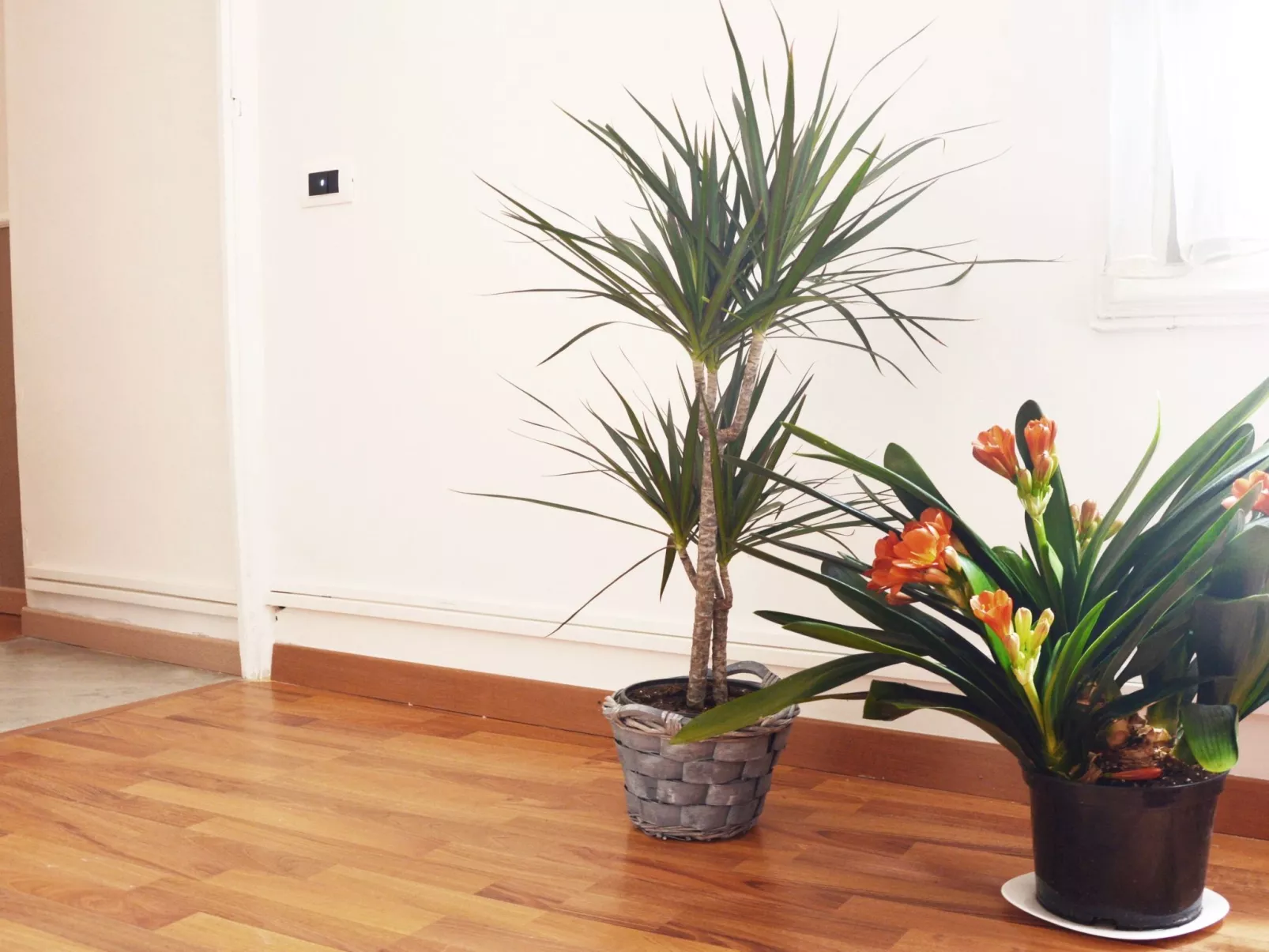 Für 10 Personen ca. 250 m&sup2; in Caltagirone, Sizilien (Provinz Catania)-Binnen