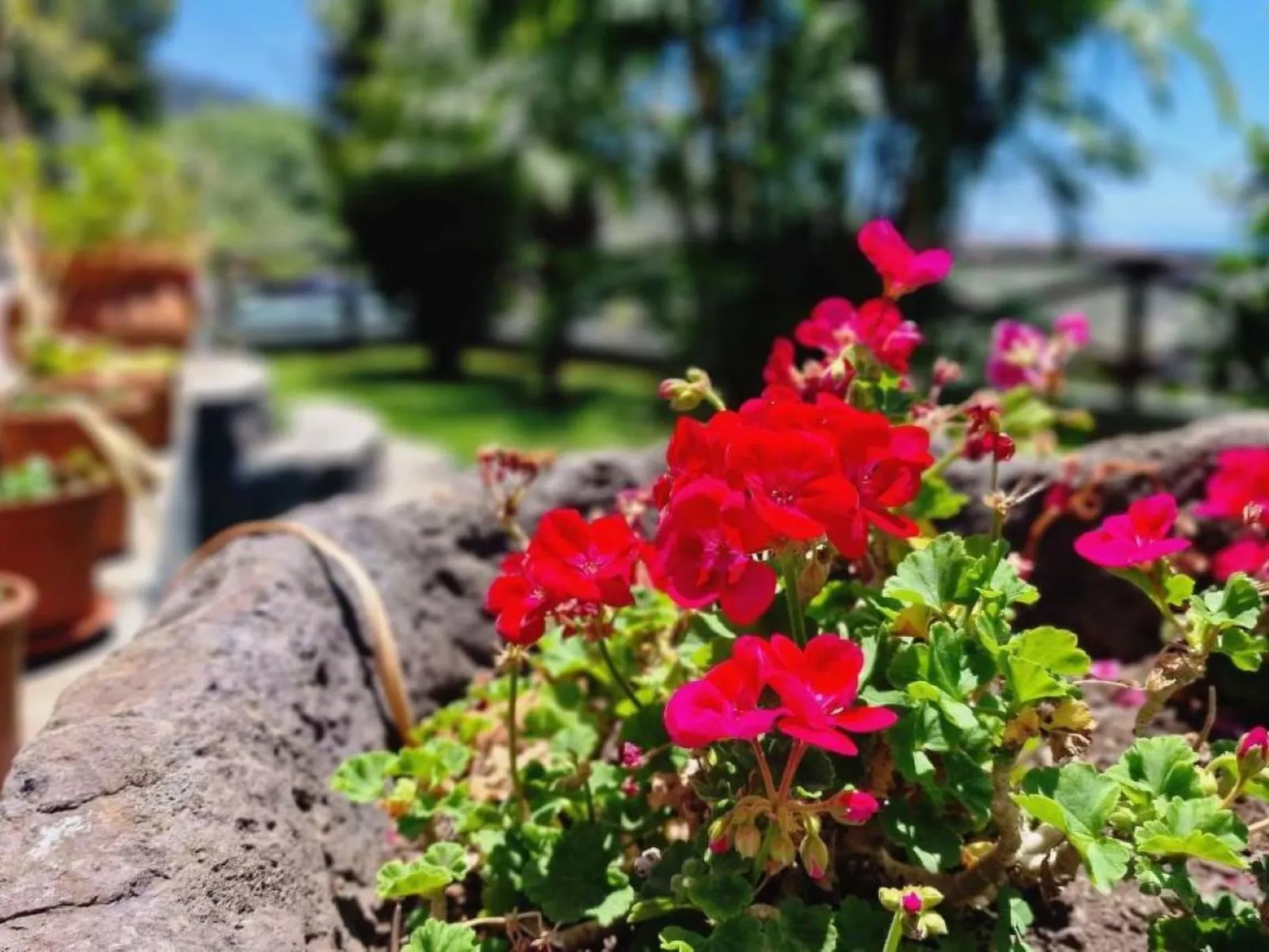 Villa "Casa Laranja" mit Bergblick-Image-tags.info