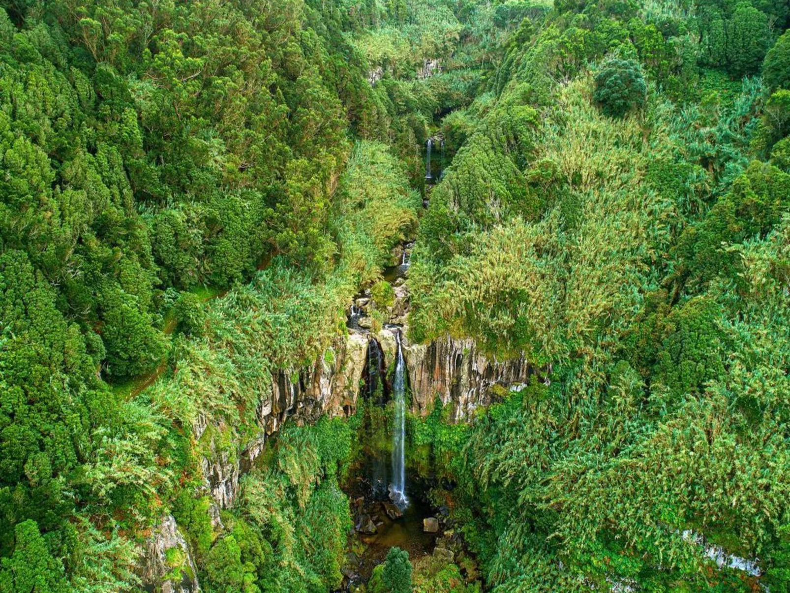 Das Haus der Patin 2-Buiten