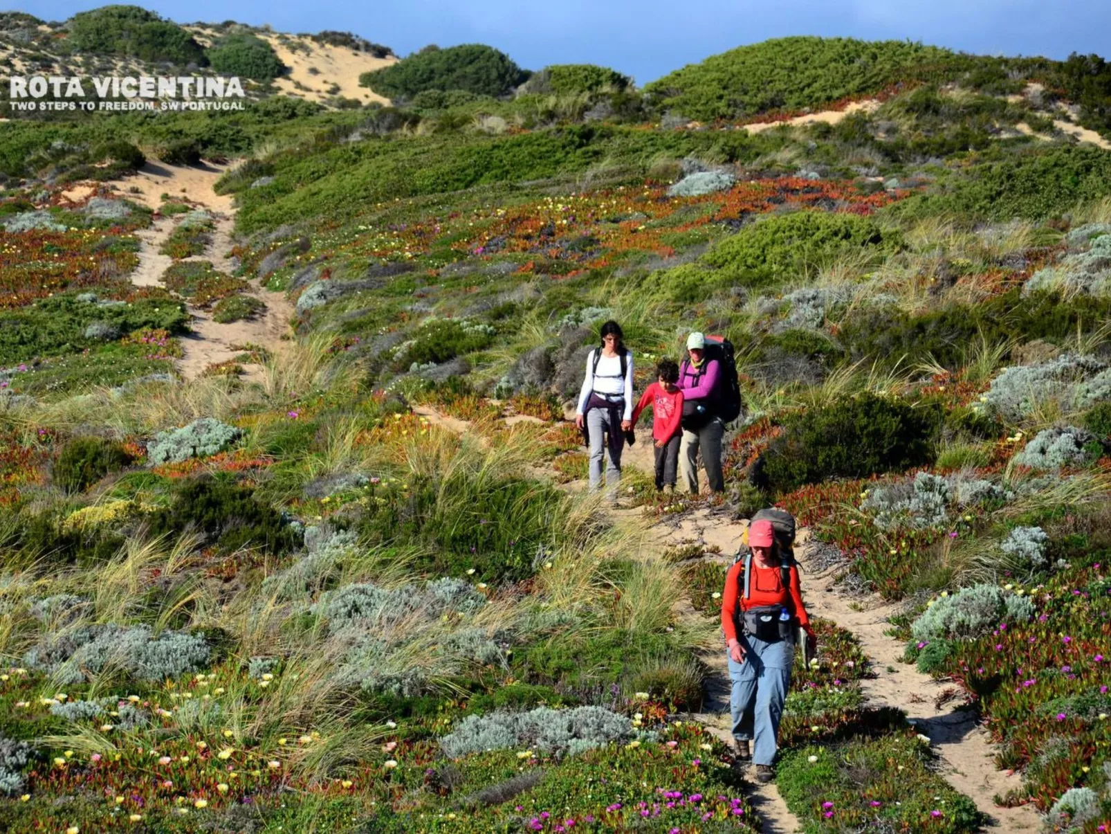 "The Recycle Art" mit Terrasse-Image-tags.info