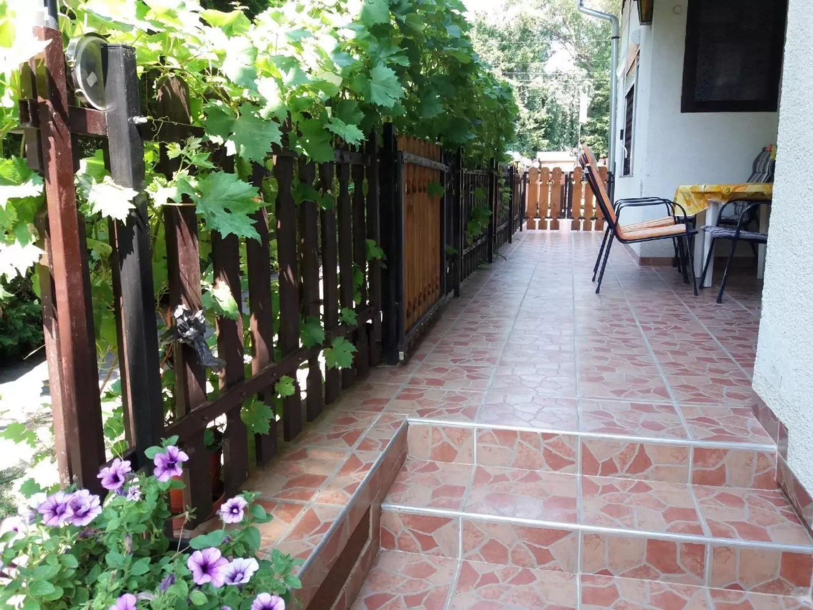 Appartement mit Terrasse-Image-tags.info