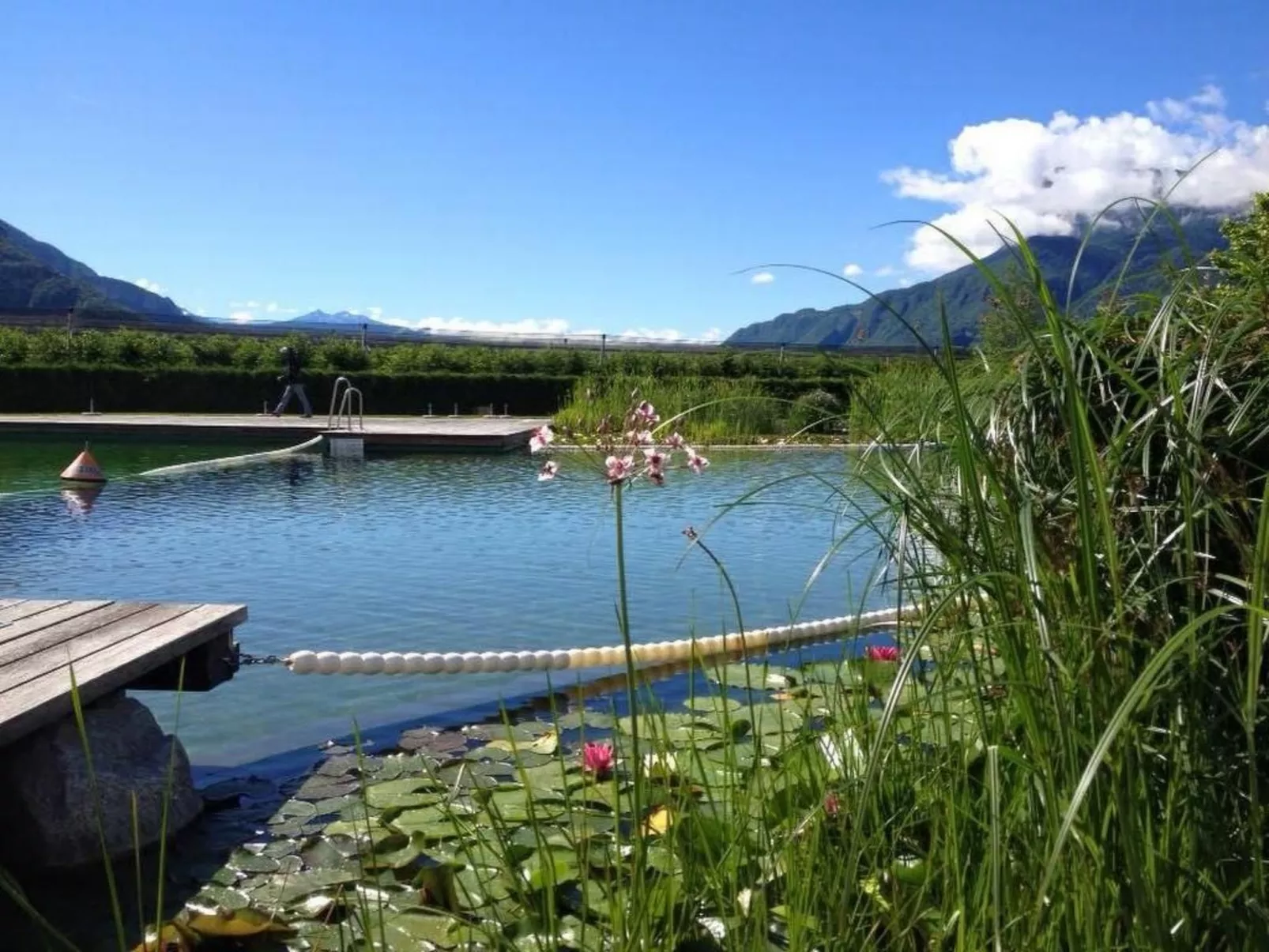 Residence Olivi - Luxury Apartment Penthouse-Buiten