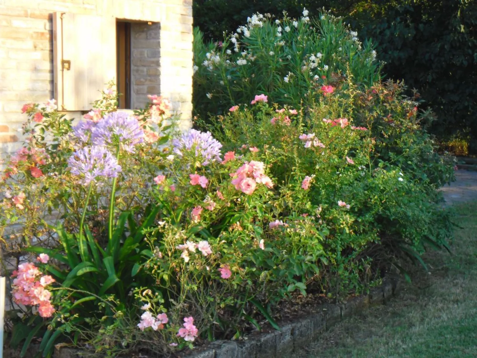 Haus in Ostra mit privatem Pool-Image-tags.info