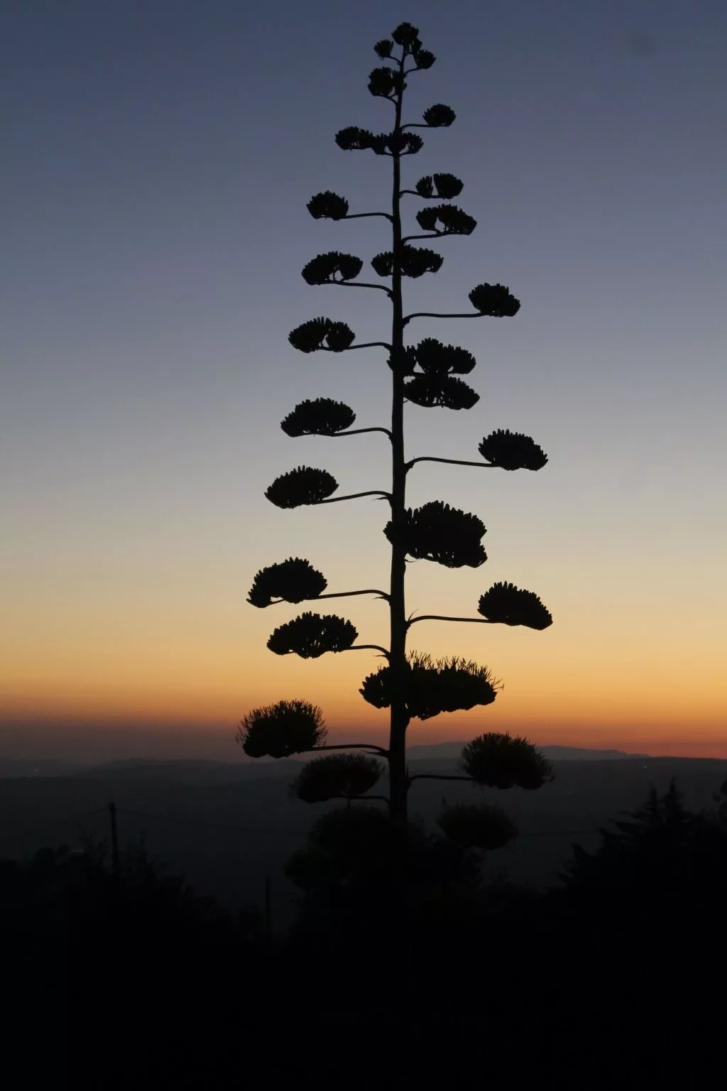 Ferienvilla mit Blick auf das Wasser-Image-tags.info